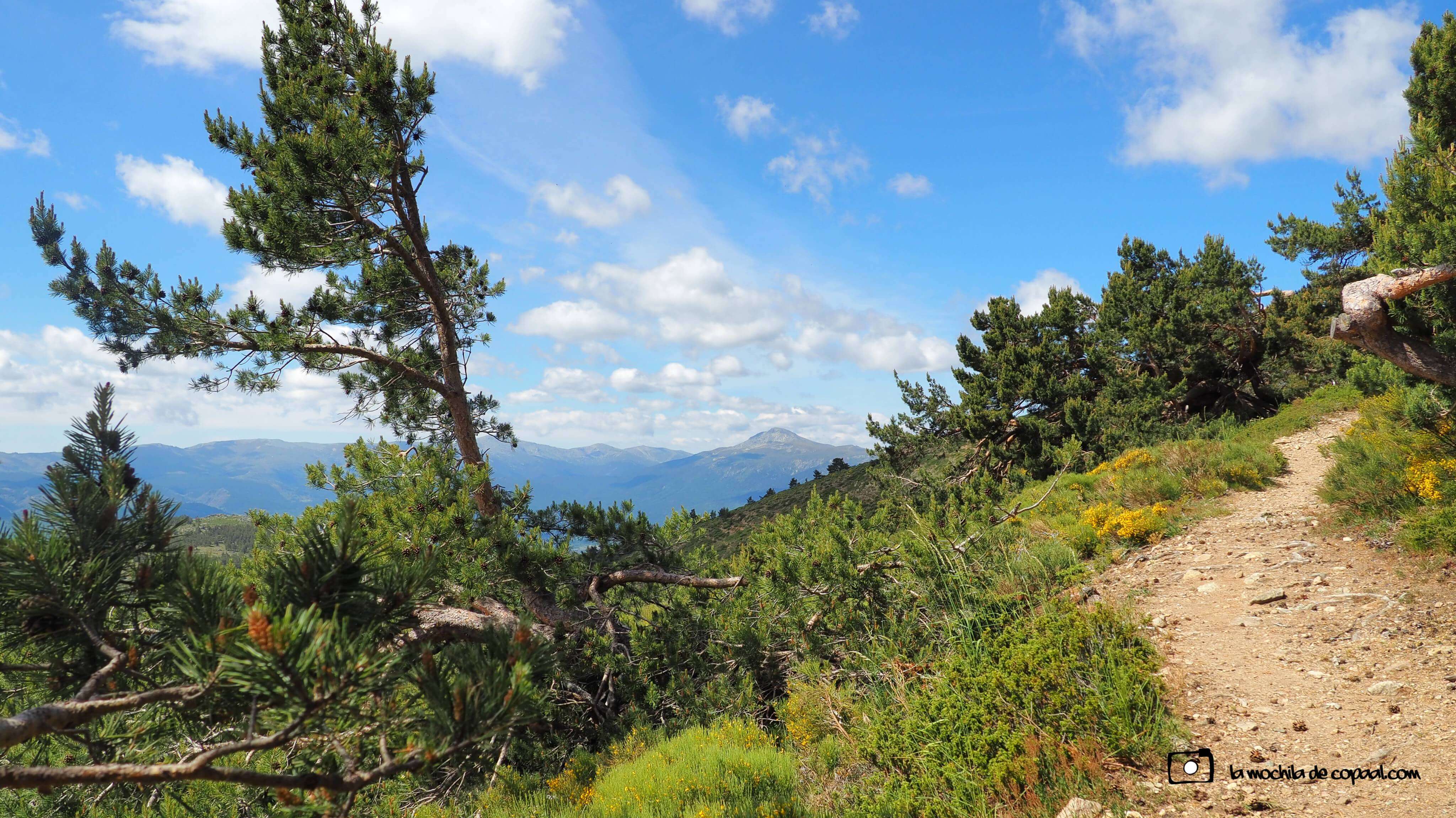 PQUE. NACIONAL DE GUADARRAMA (Madrid)