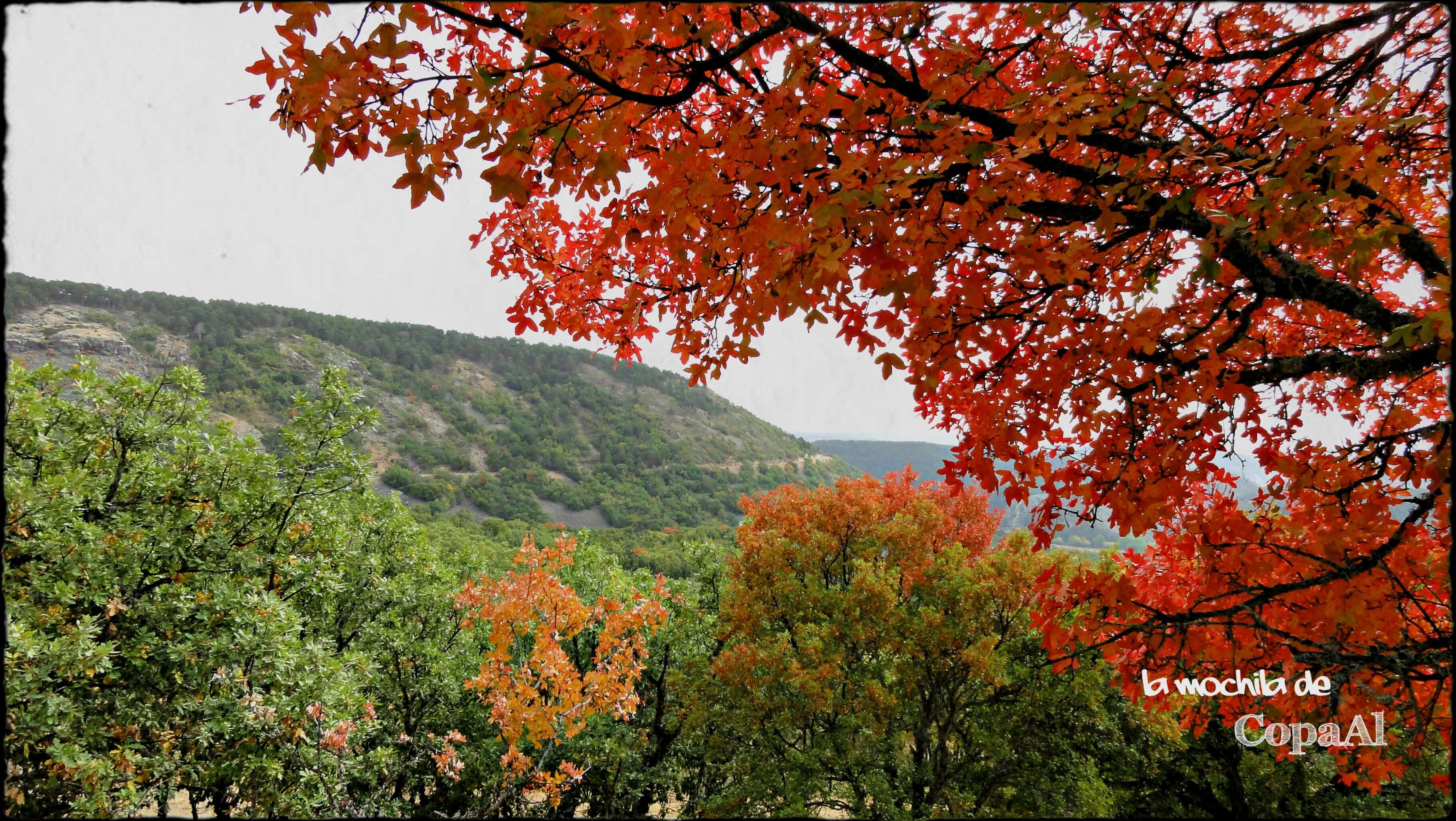 Serranía-de-Albarracín