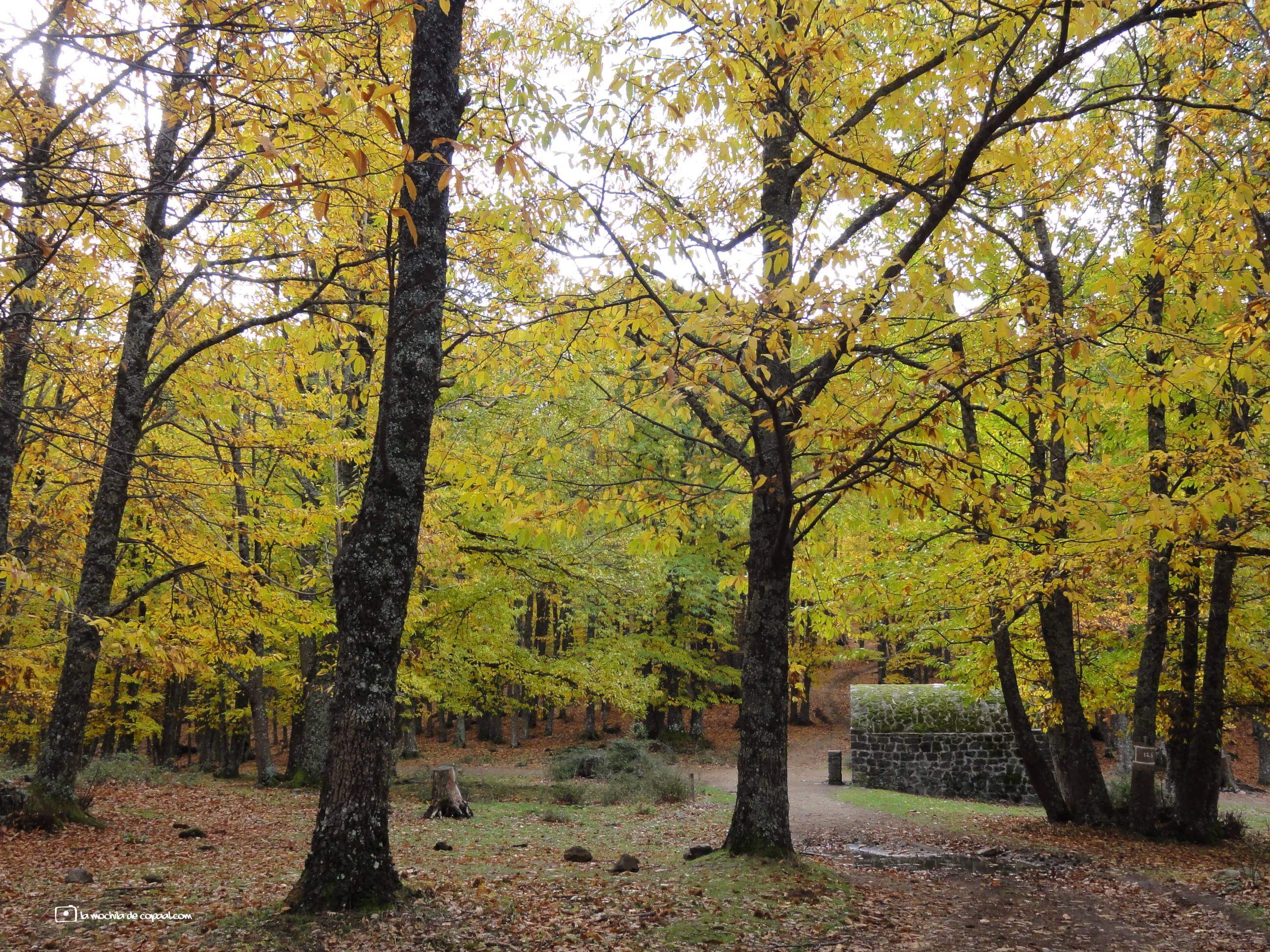 Refugio de Majalavilla