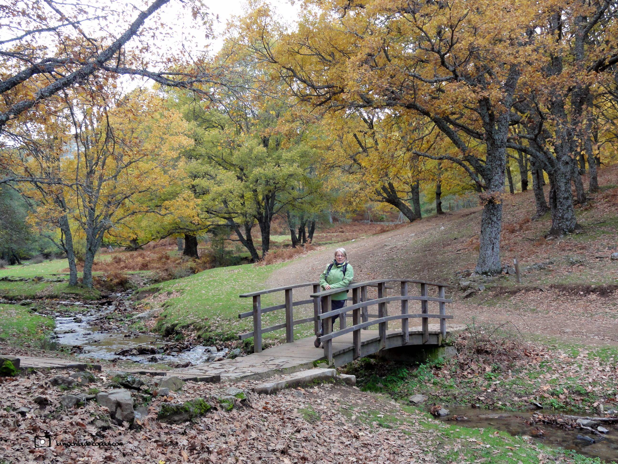 la mochila de copaal