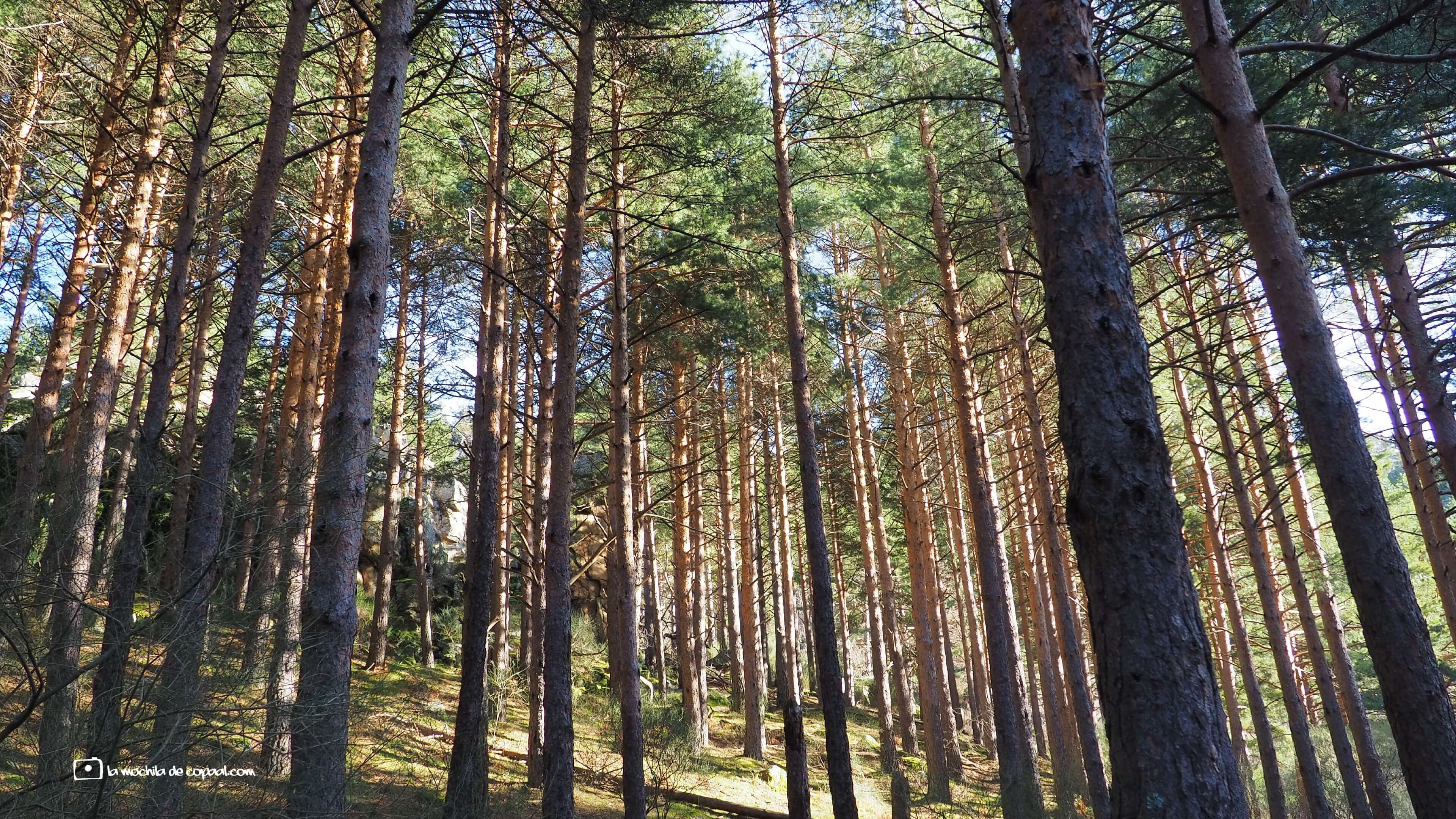 CopaAl-Cascada-del-Purgatorio-17
