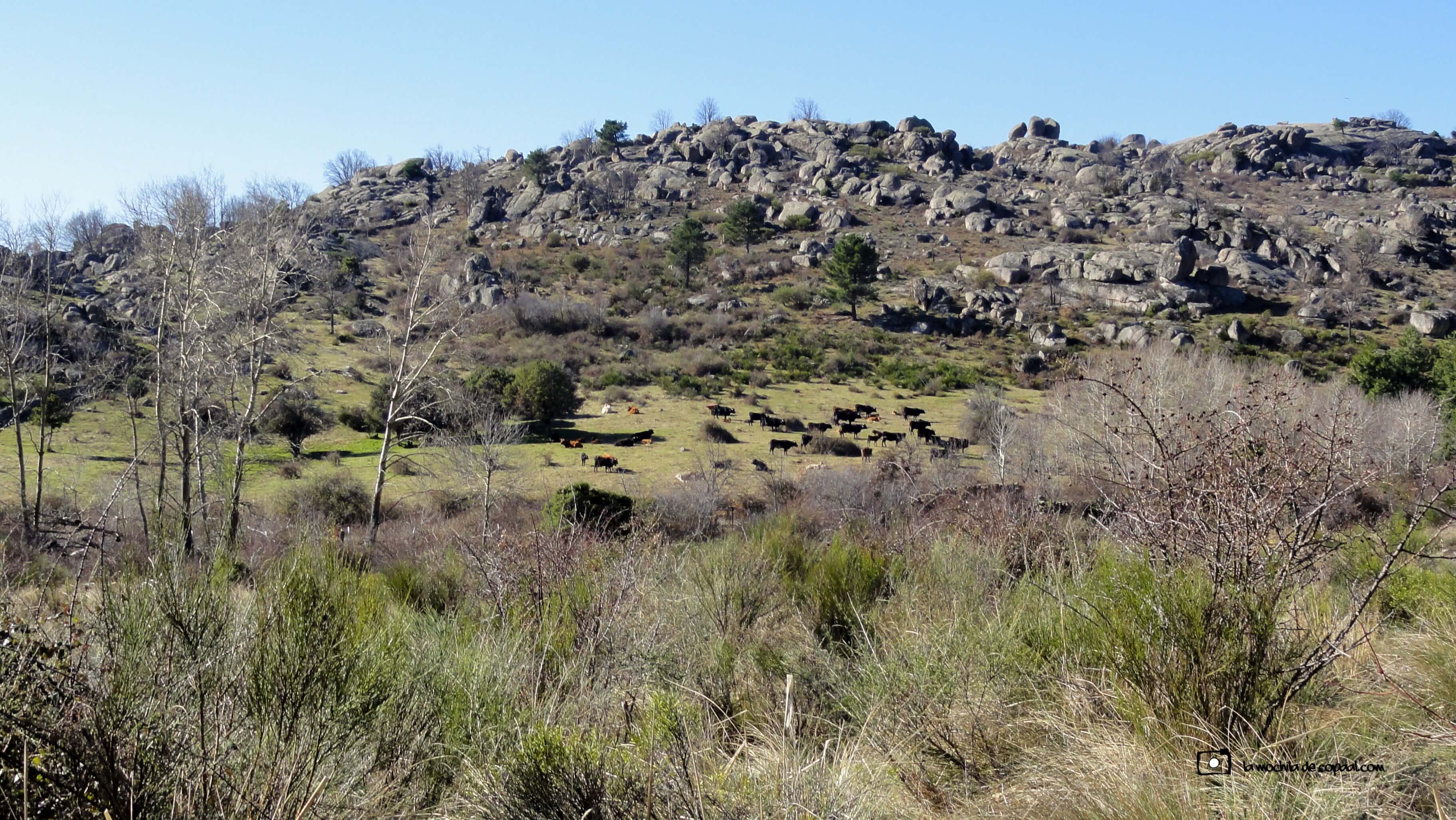 CopaAl-Hoya-de-San-Blas-04