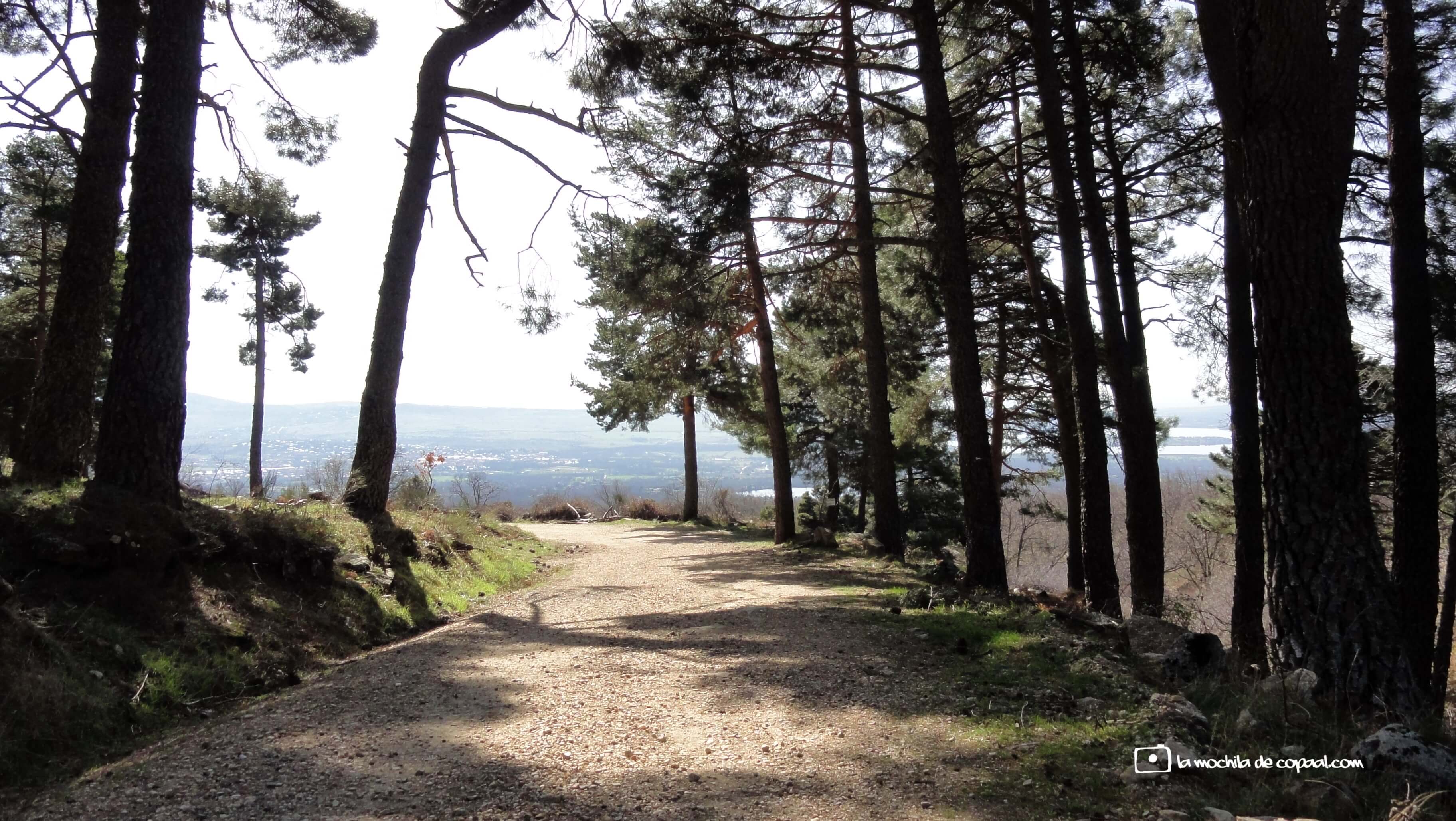 CopaAl-Hoya-de-San-Blas-05