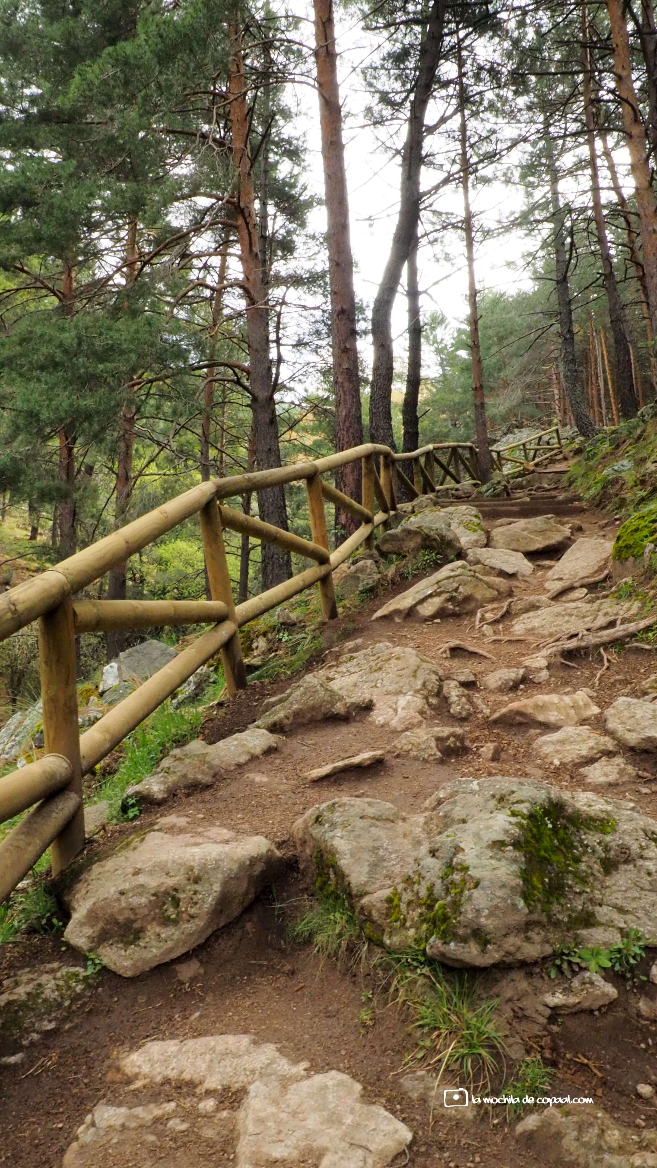 CopaAl-senda-del-Hornillo-y-río-Aceña-04