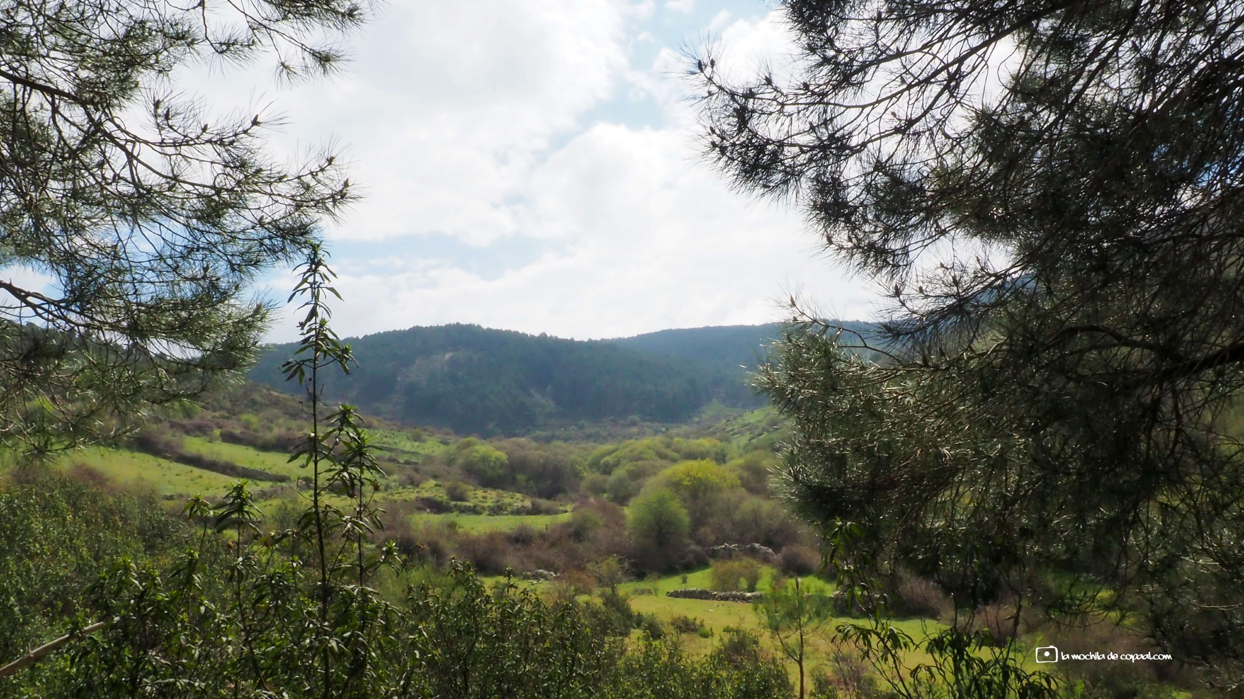 CopaAl-senda-del-Hornillo-y-río-Aceña-14