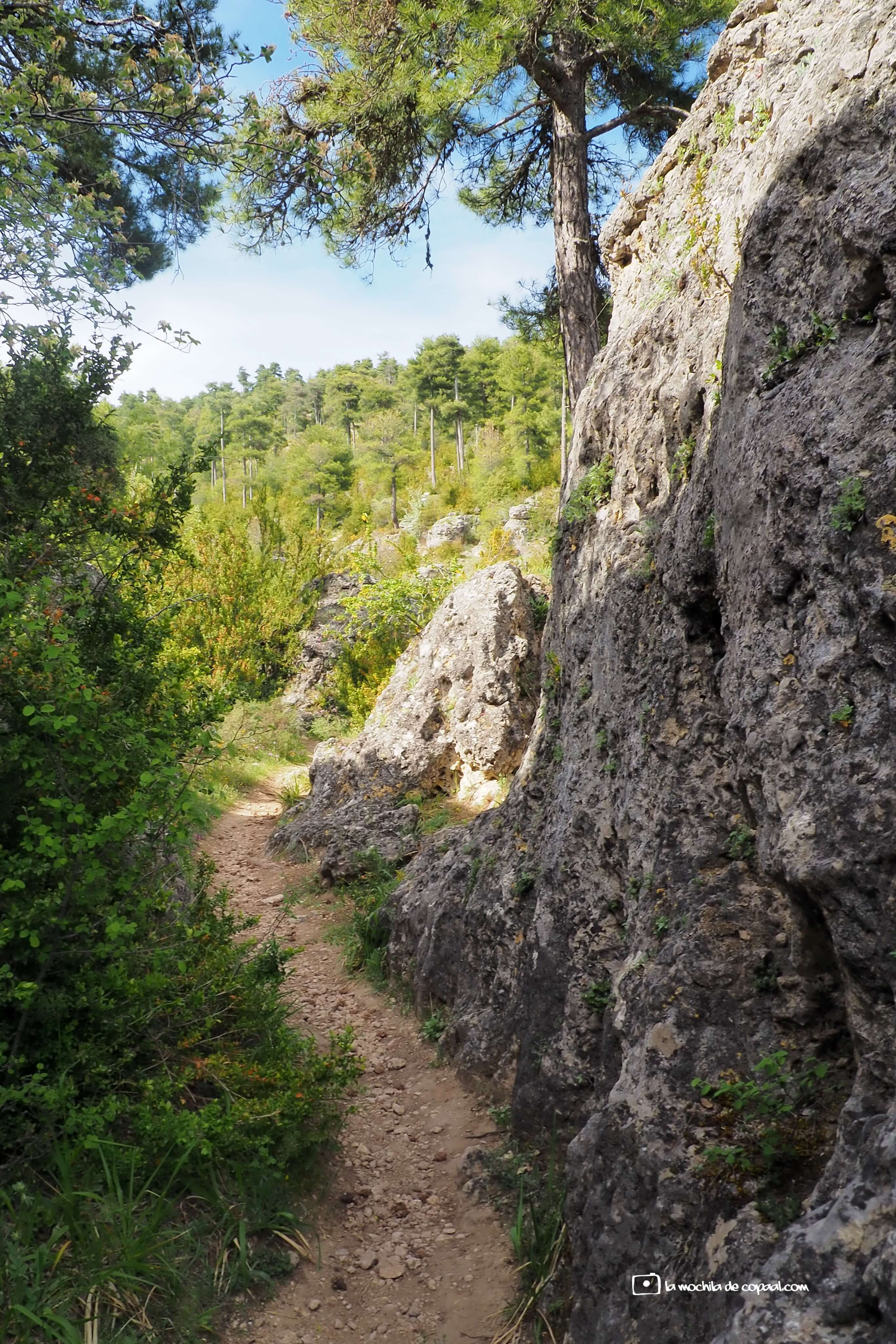 CopaAl-el-Escalerón-la-Raya-Uña-20