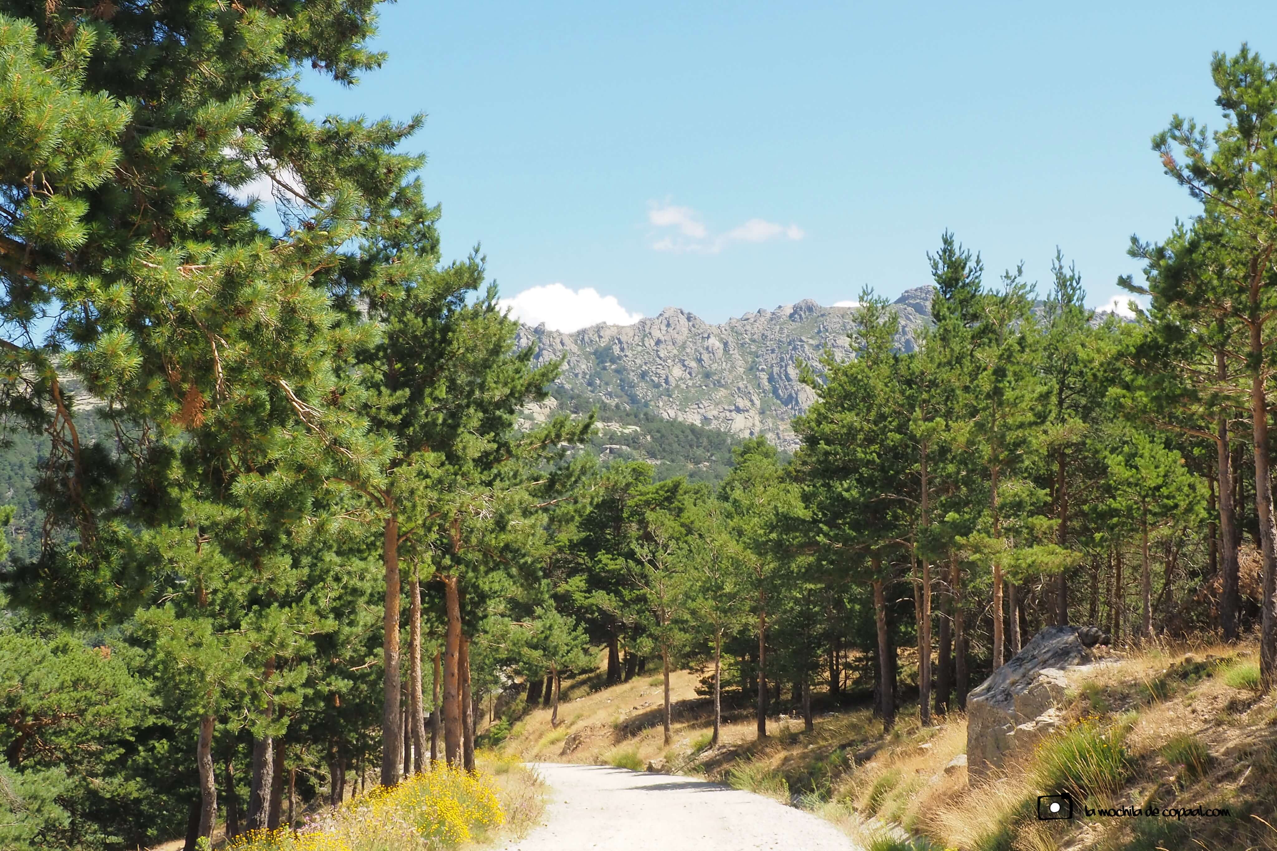 Valle de la Fuenfría