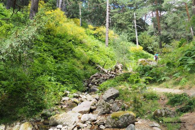 Valle de la Fuenfría senderismo