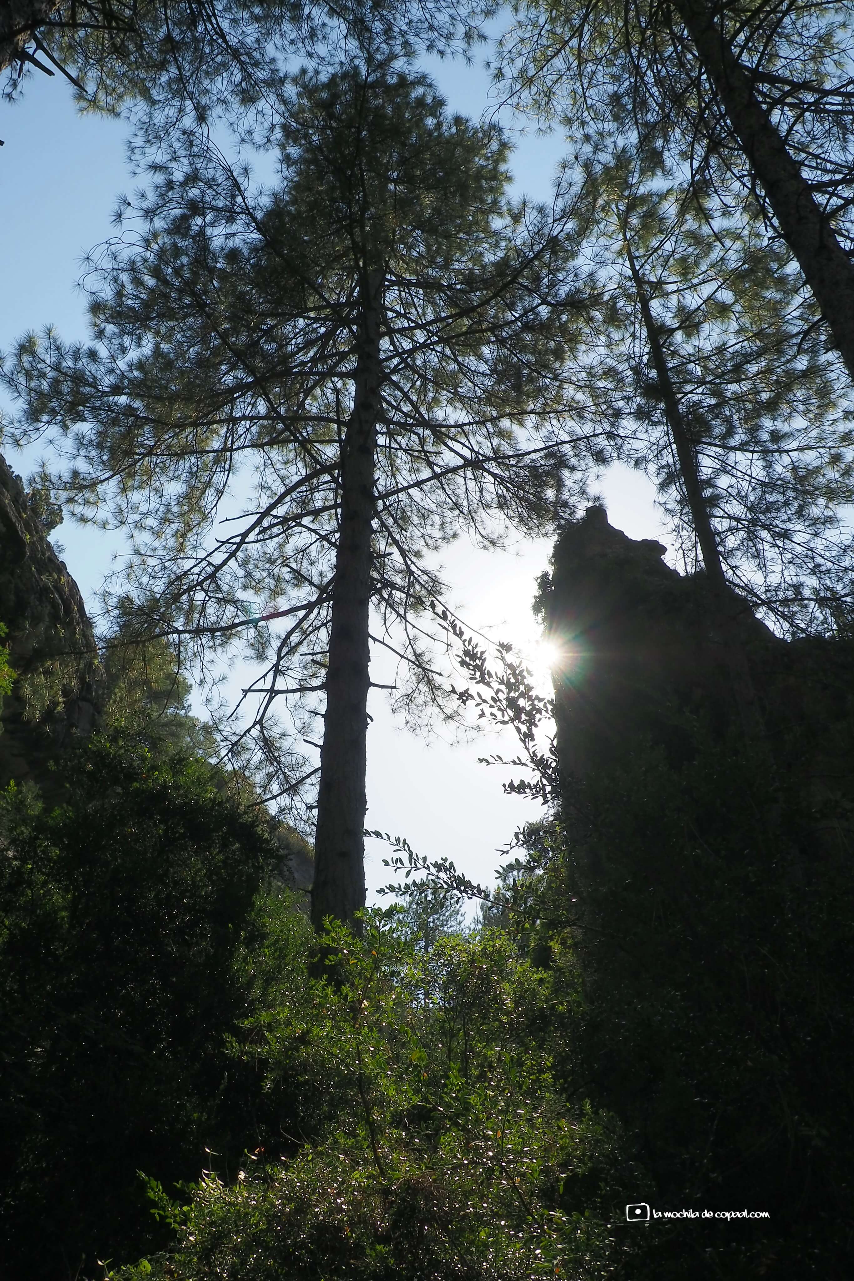 CopaAl-El-Parrizal-de-Beceite-11