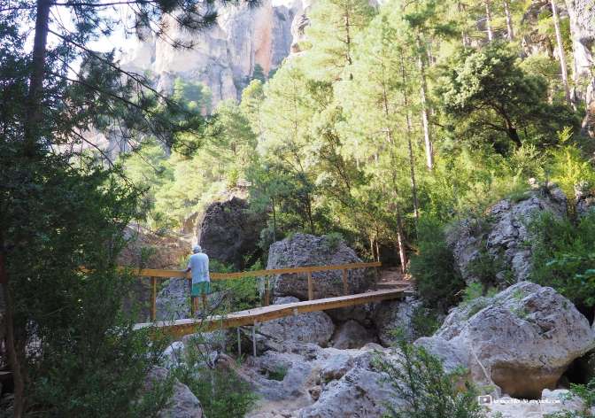 Contemplación naturaleza