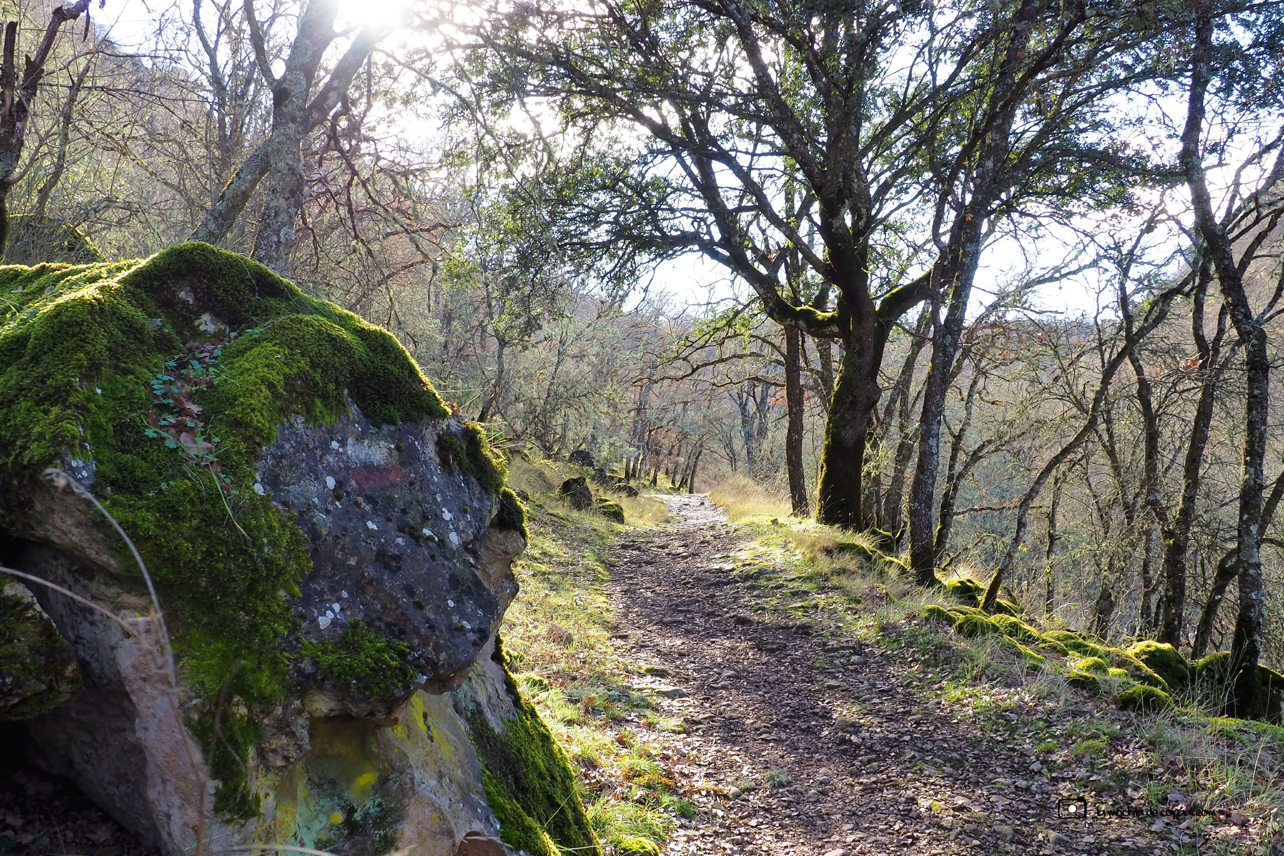 Ruta la Hoz del río Jarama