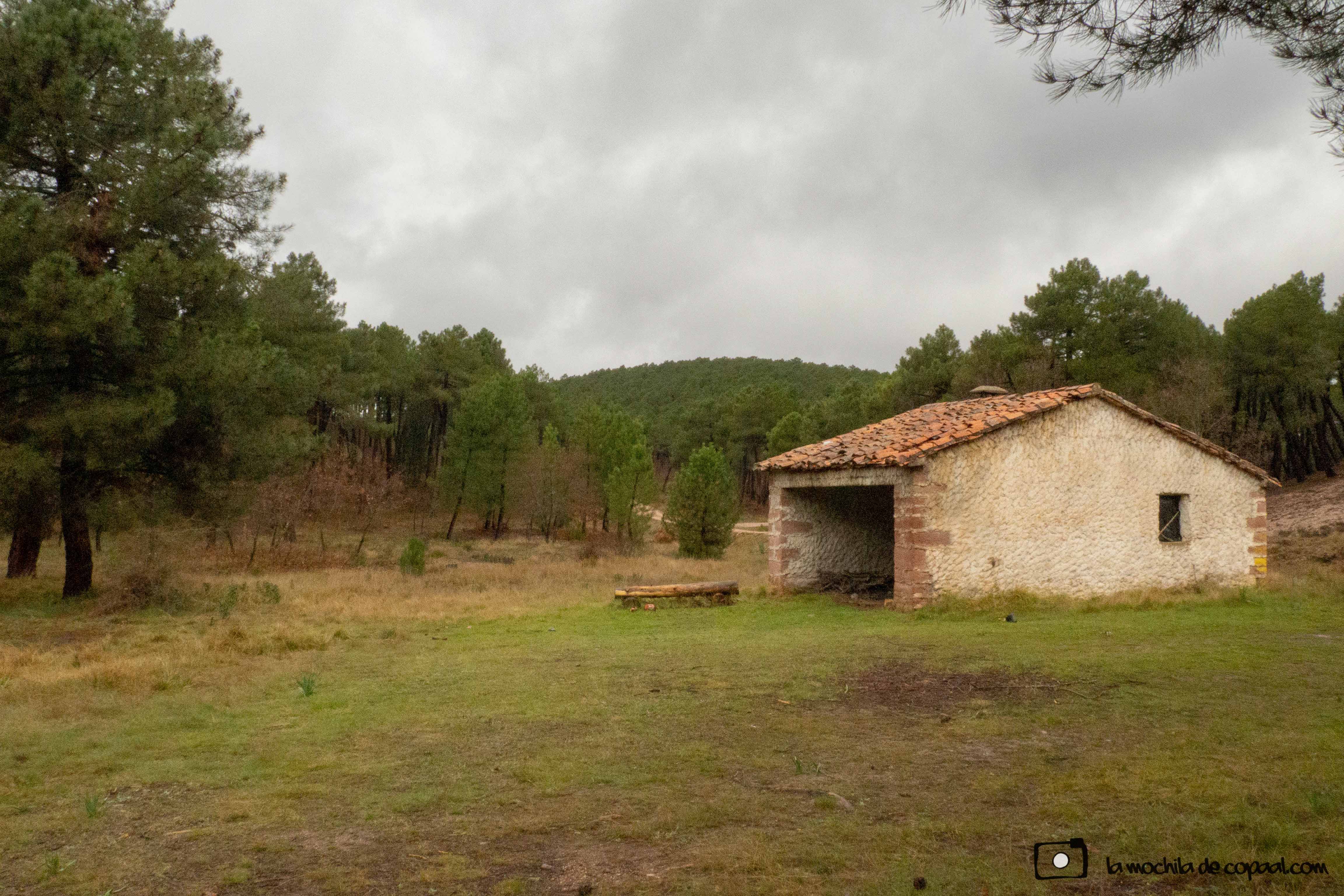 Sendero SL-PNAT-1 El Rodenal