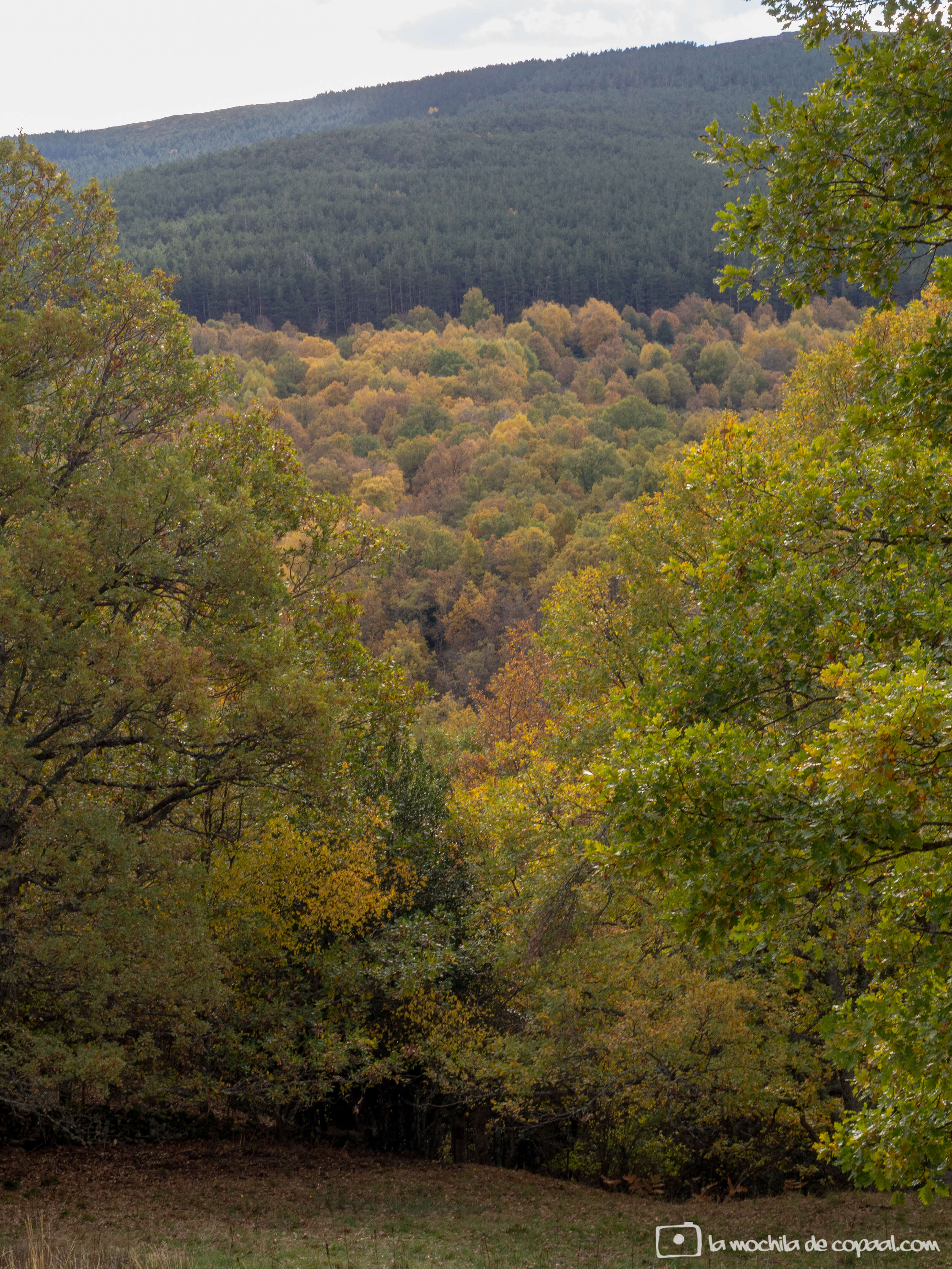 Dehesa de Somosierra