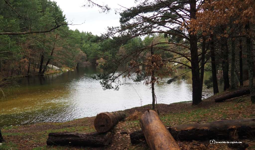 Arroyo de la Angostura