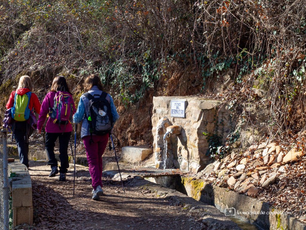 trekking, sendas, rutas de senderismo