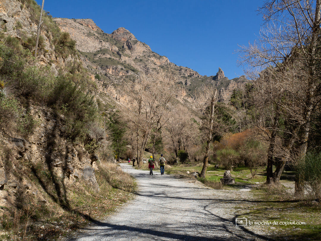 Aralayones de Dílar