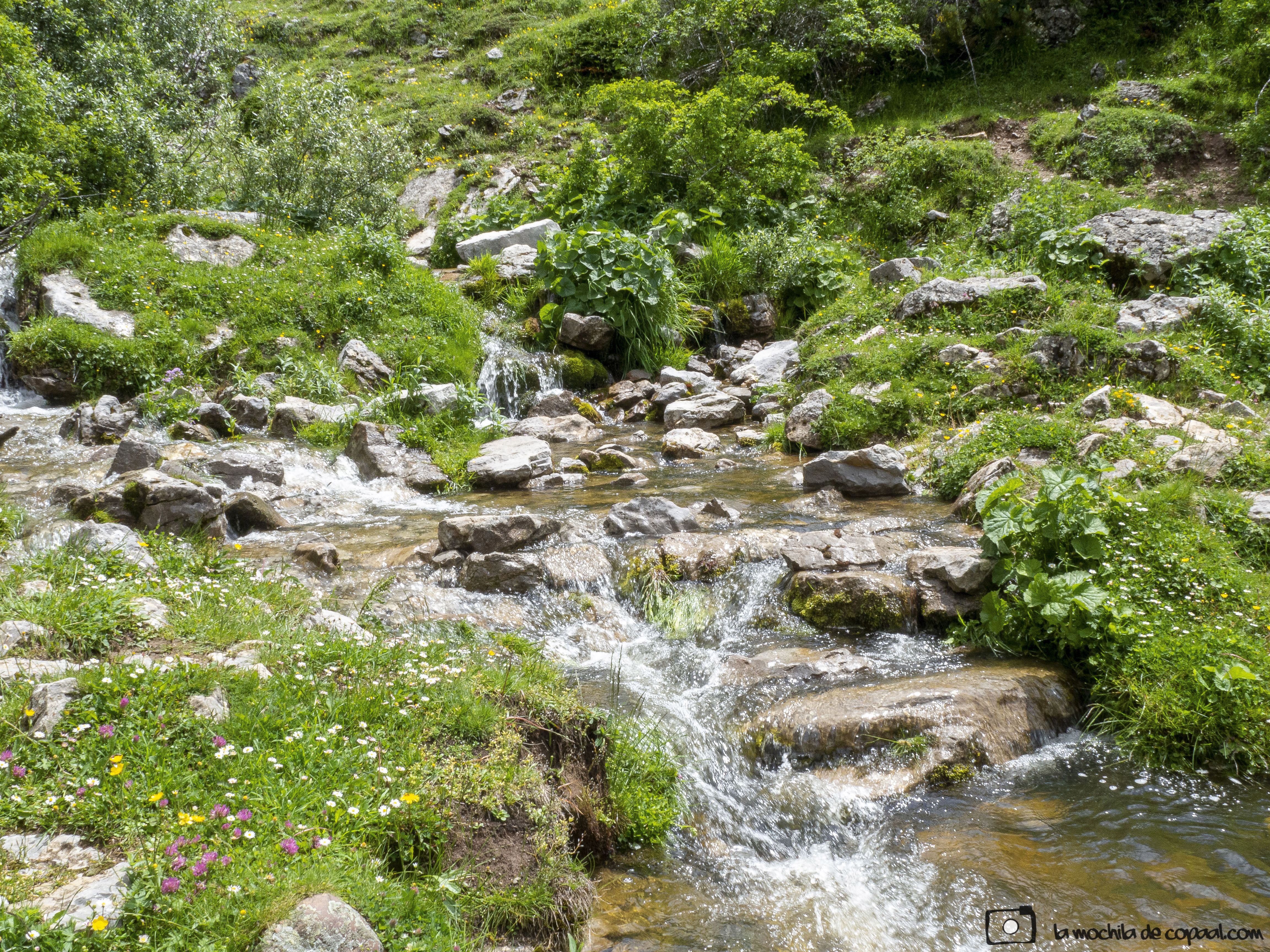 río Pisuerga ruta senderismo
