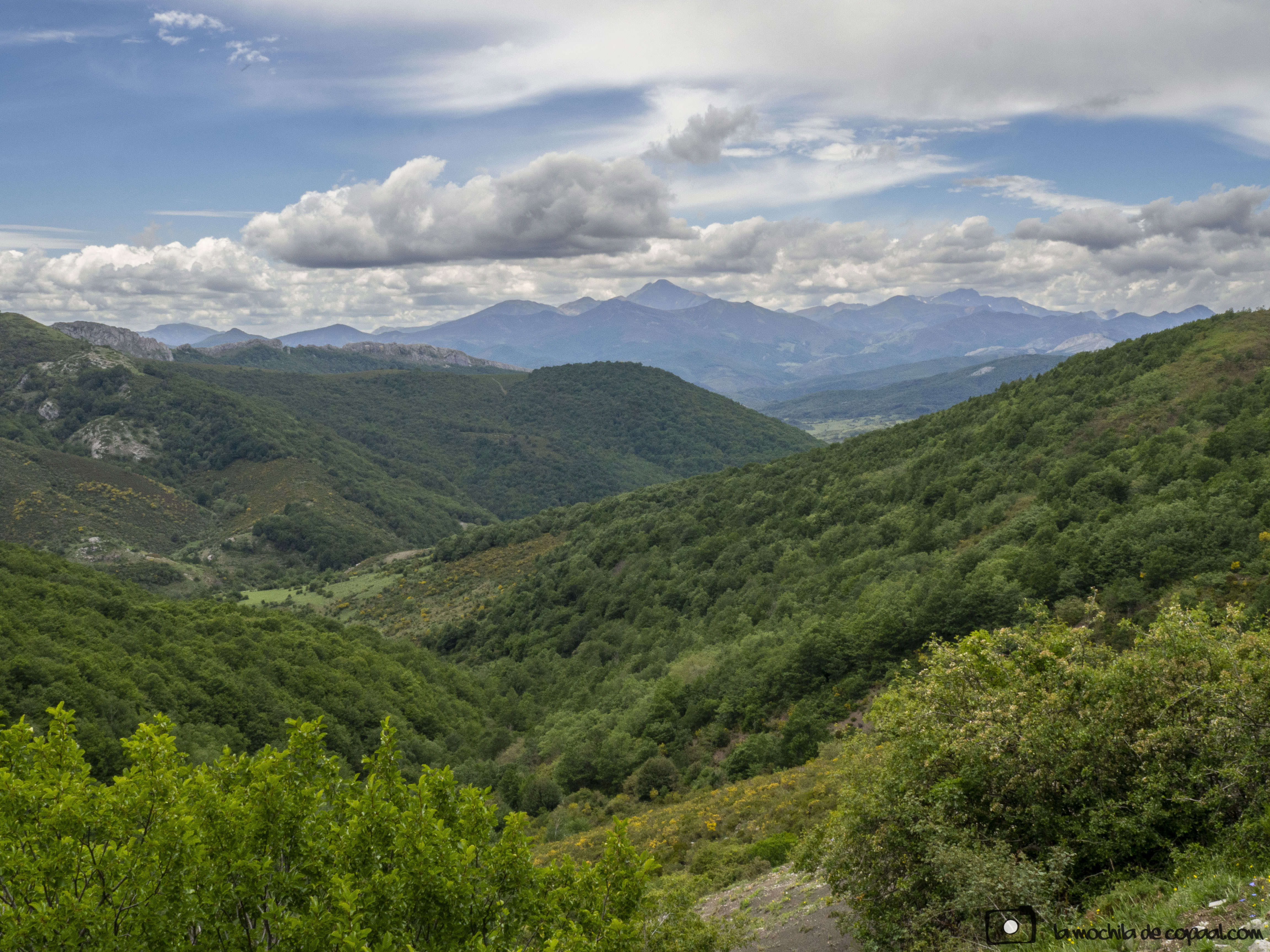 Parque Natural Montaña Palentina