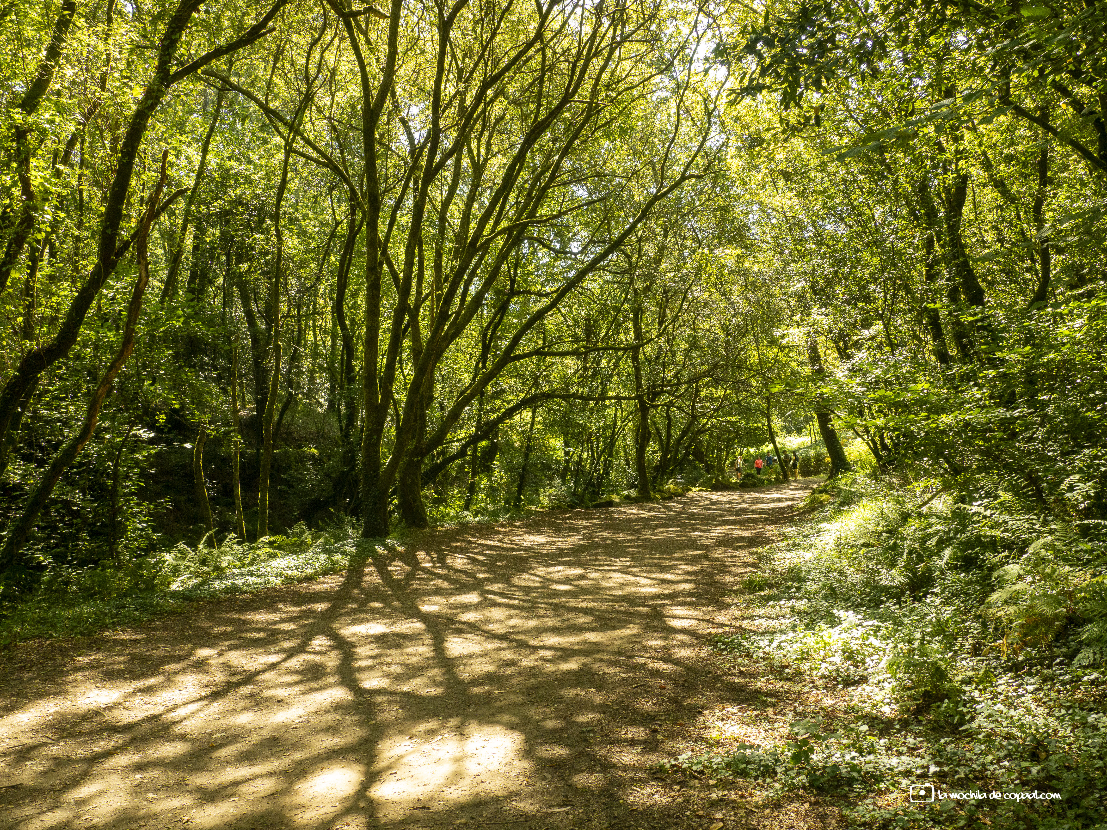 trekking senderos gallegos
