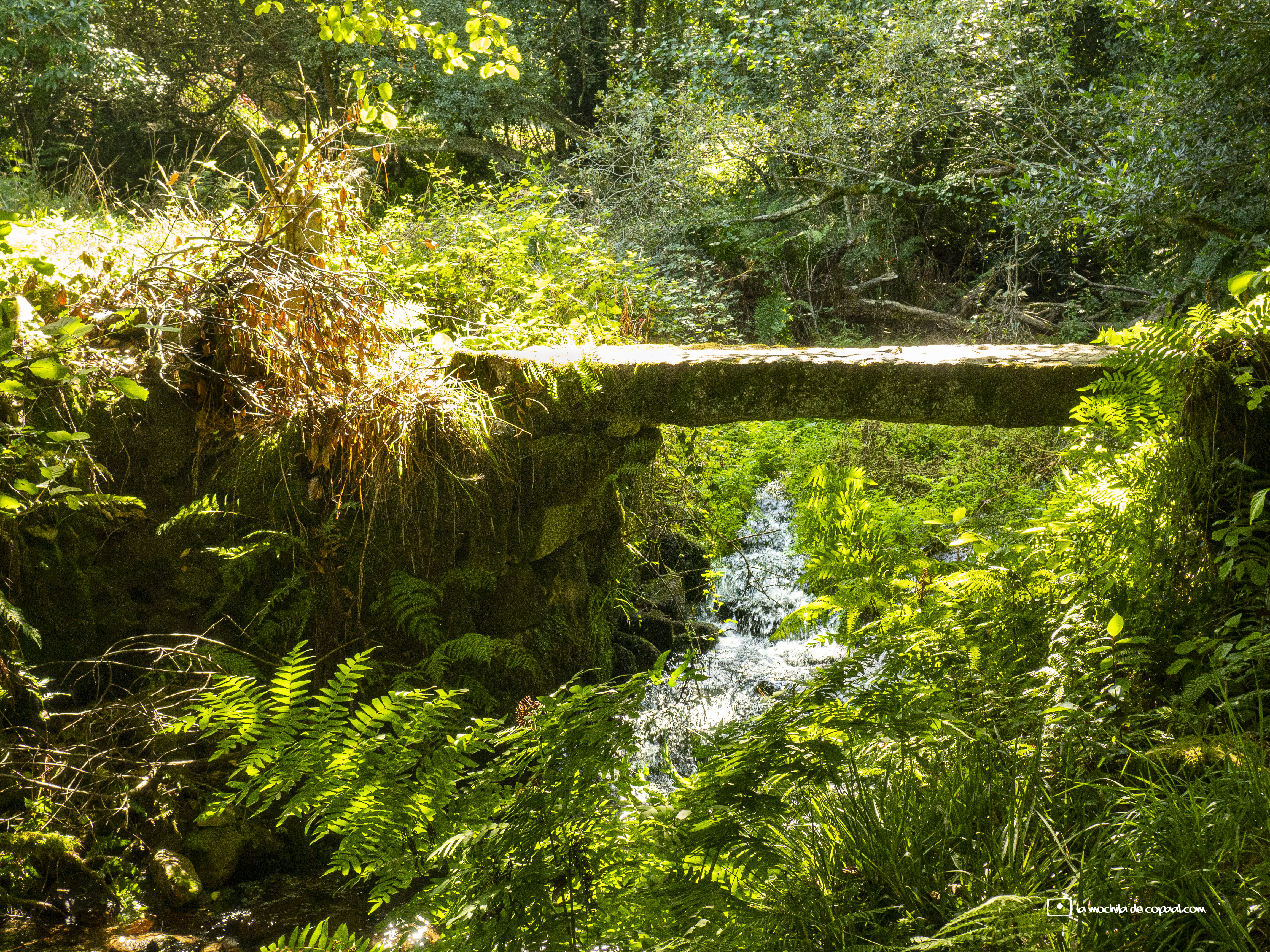 rutas de senderismo PR-G 170