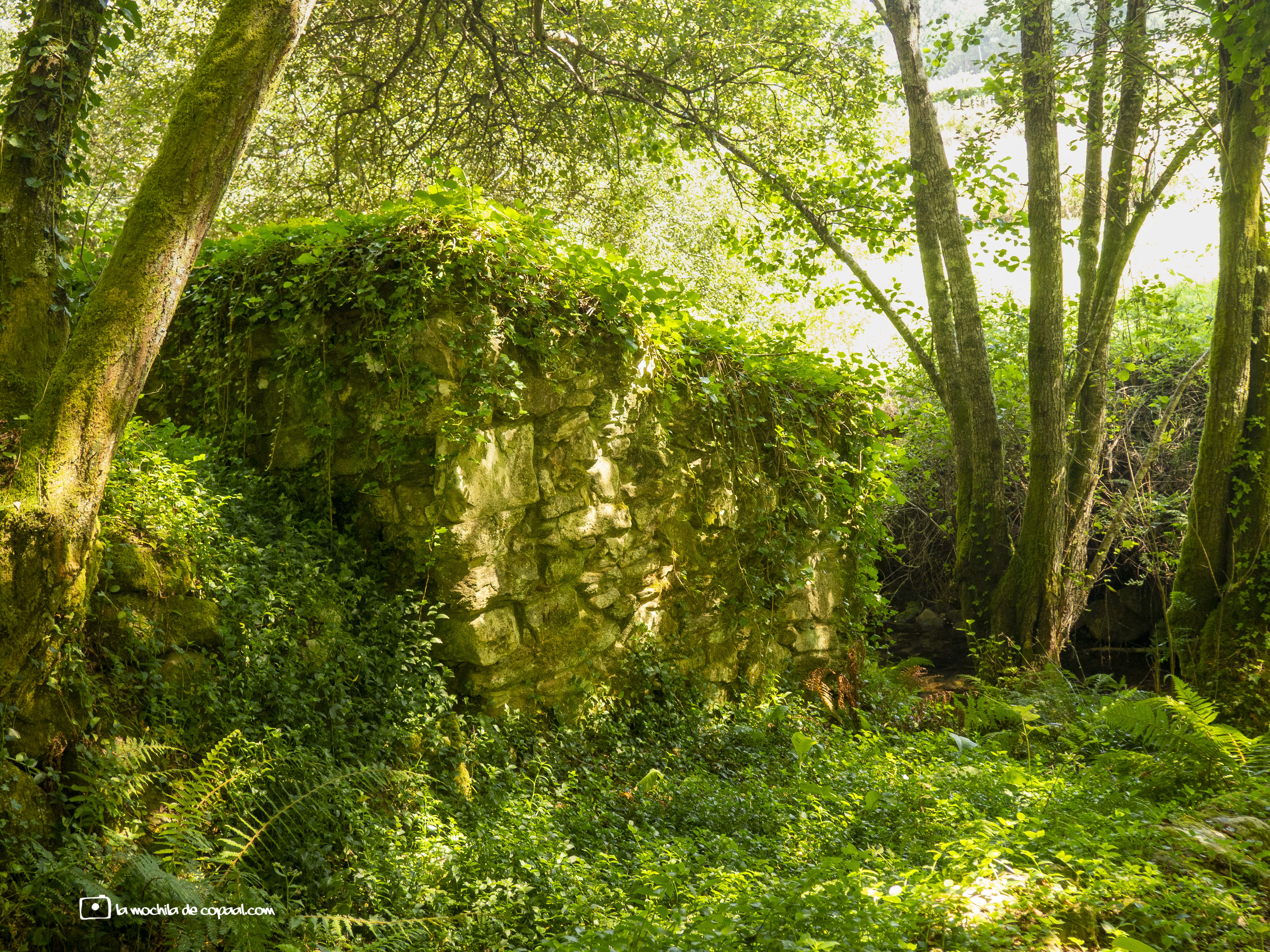 molino de agua gallego