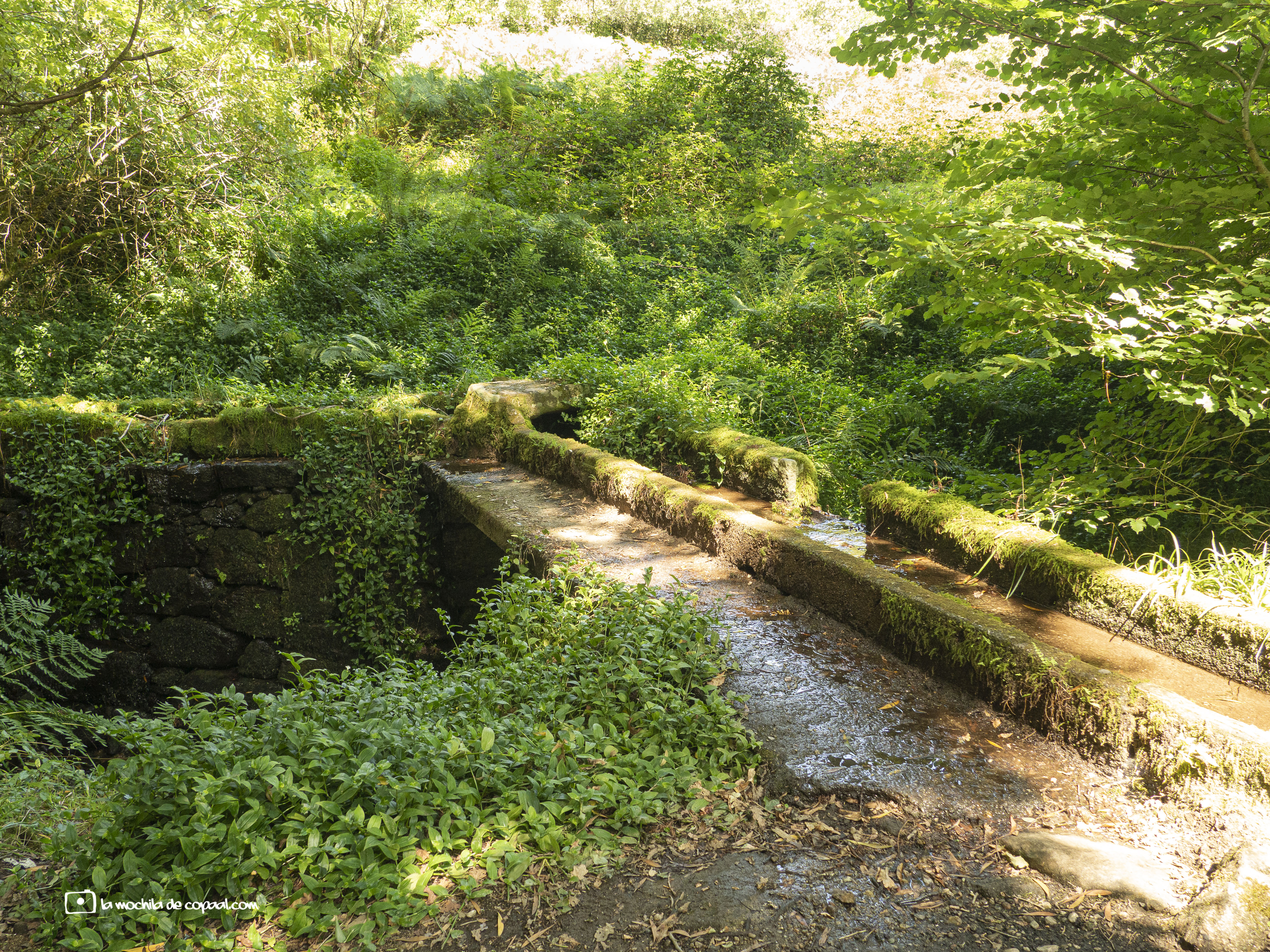 restos del aserradero de Couso
