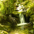 Ruta da Pedra e da Auga. Emboscarse en verde.