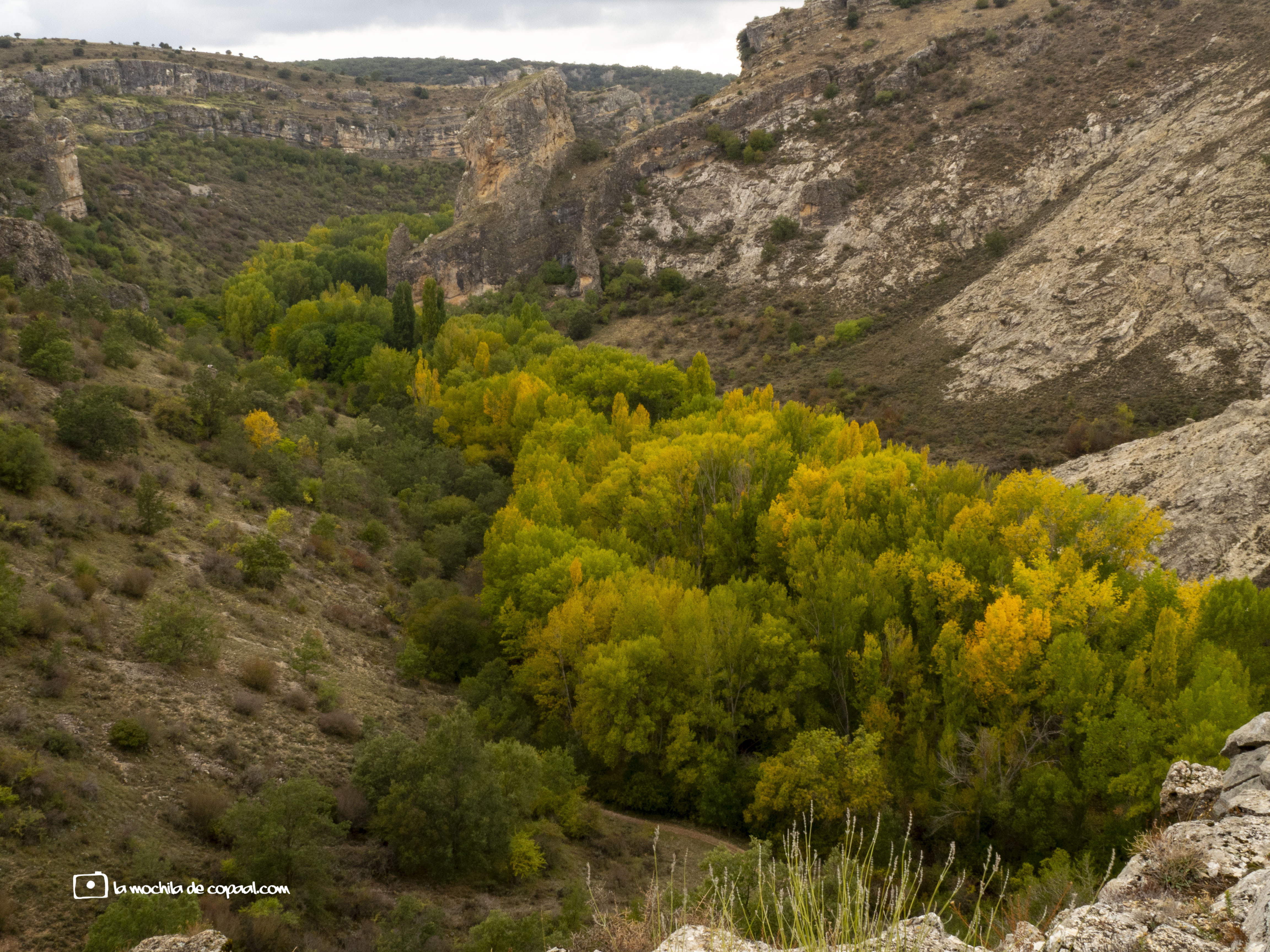 Otoño en el Barranco de río Dulce