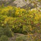 Sendero de la Hoz de Pelegrina y cascada de Gollorio. Nostalgia infantil.