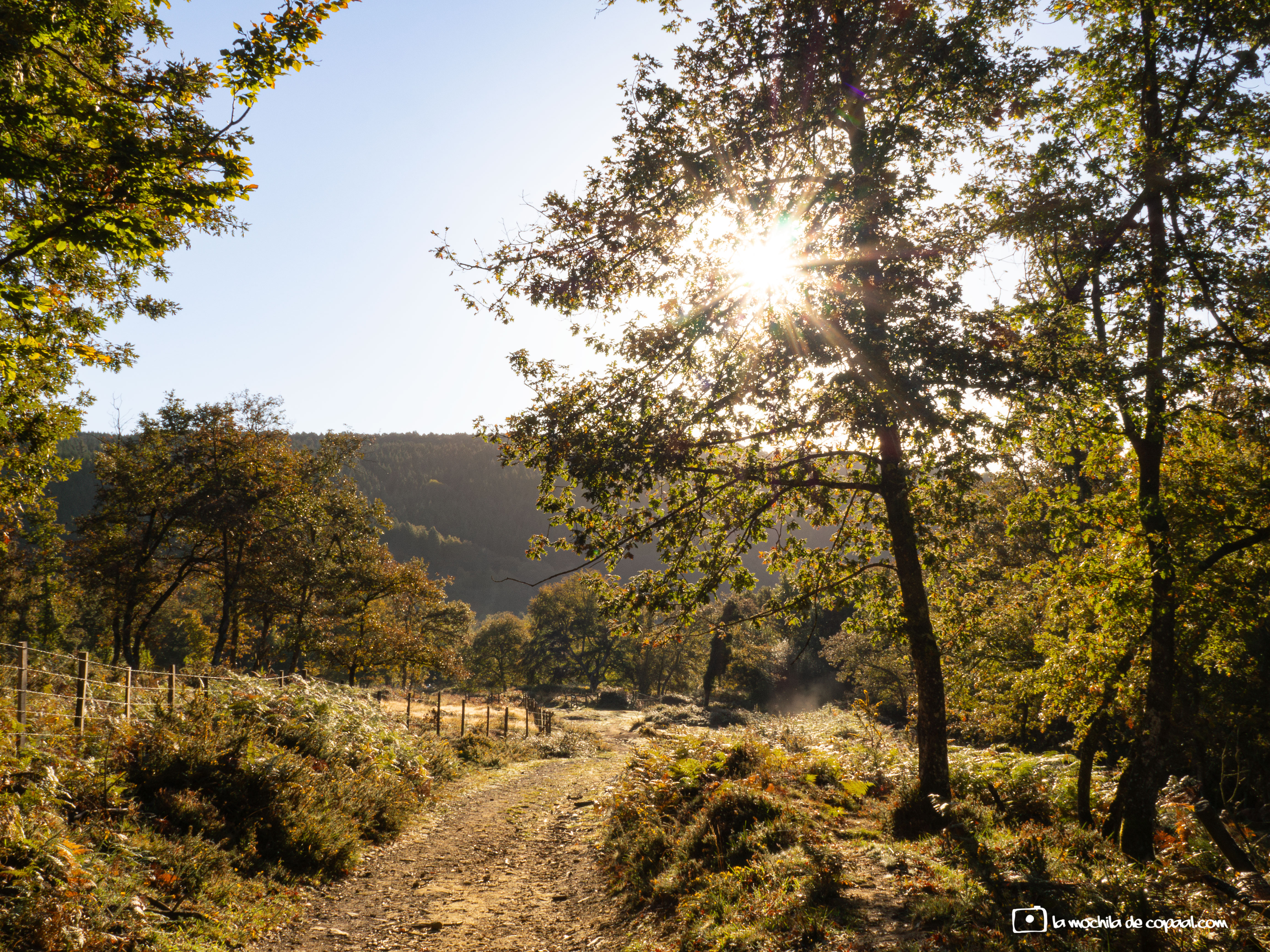 Parque Natural Gorbea
