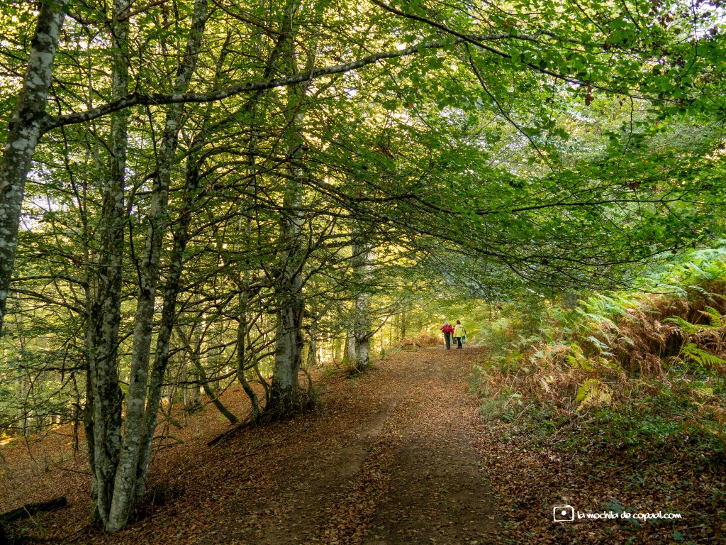 Parque Natural de Gorbeia