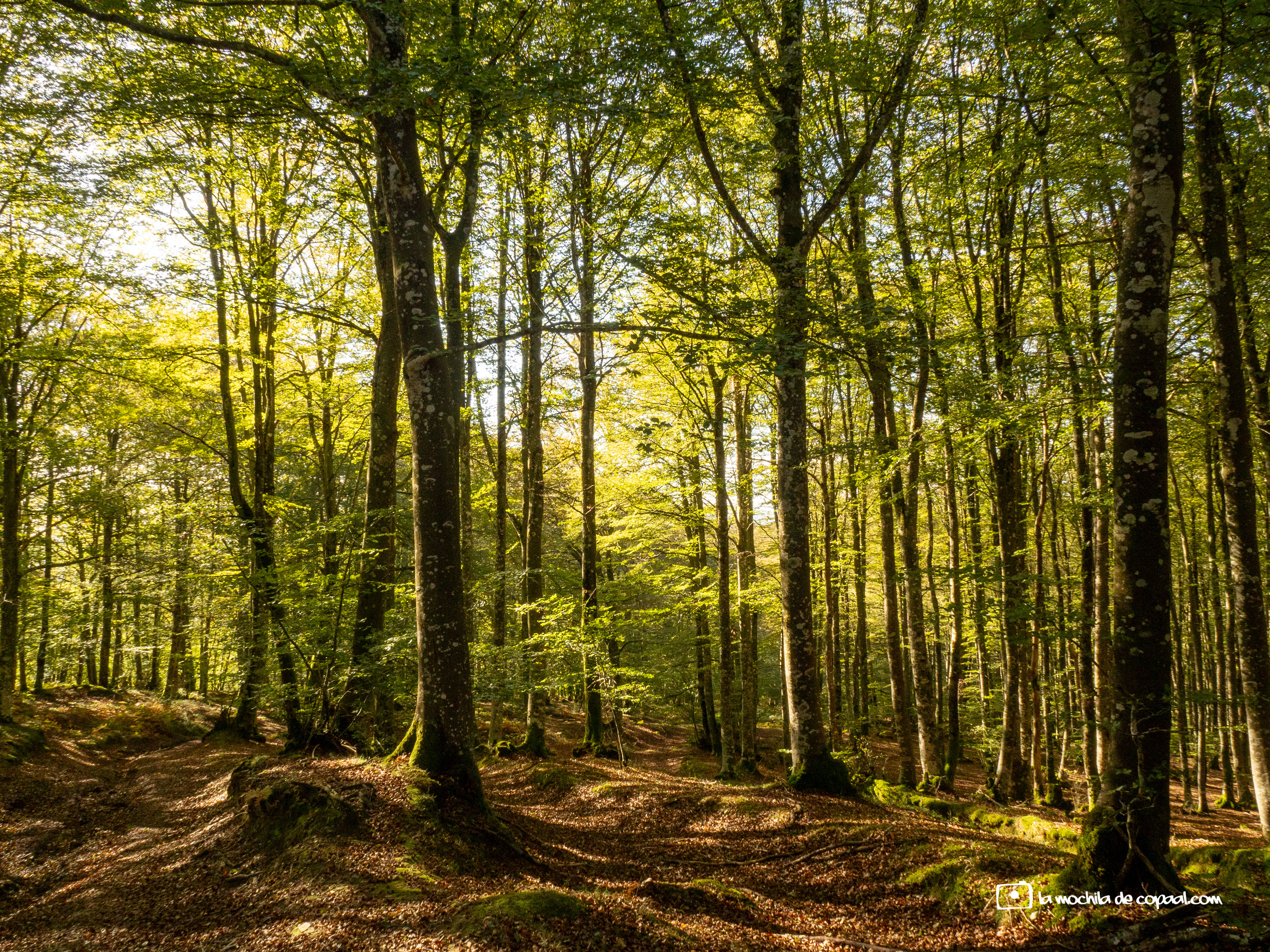 País Vasco senderismo