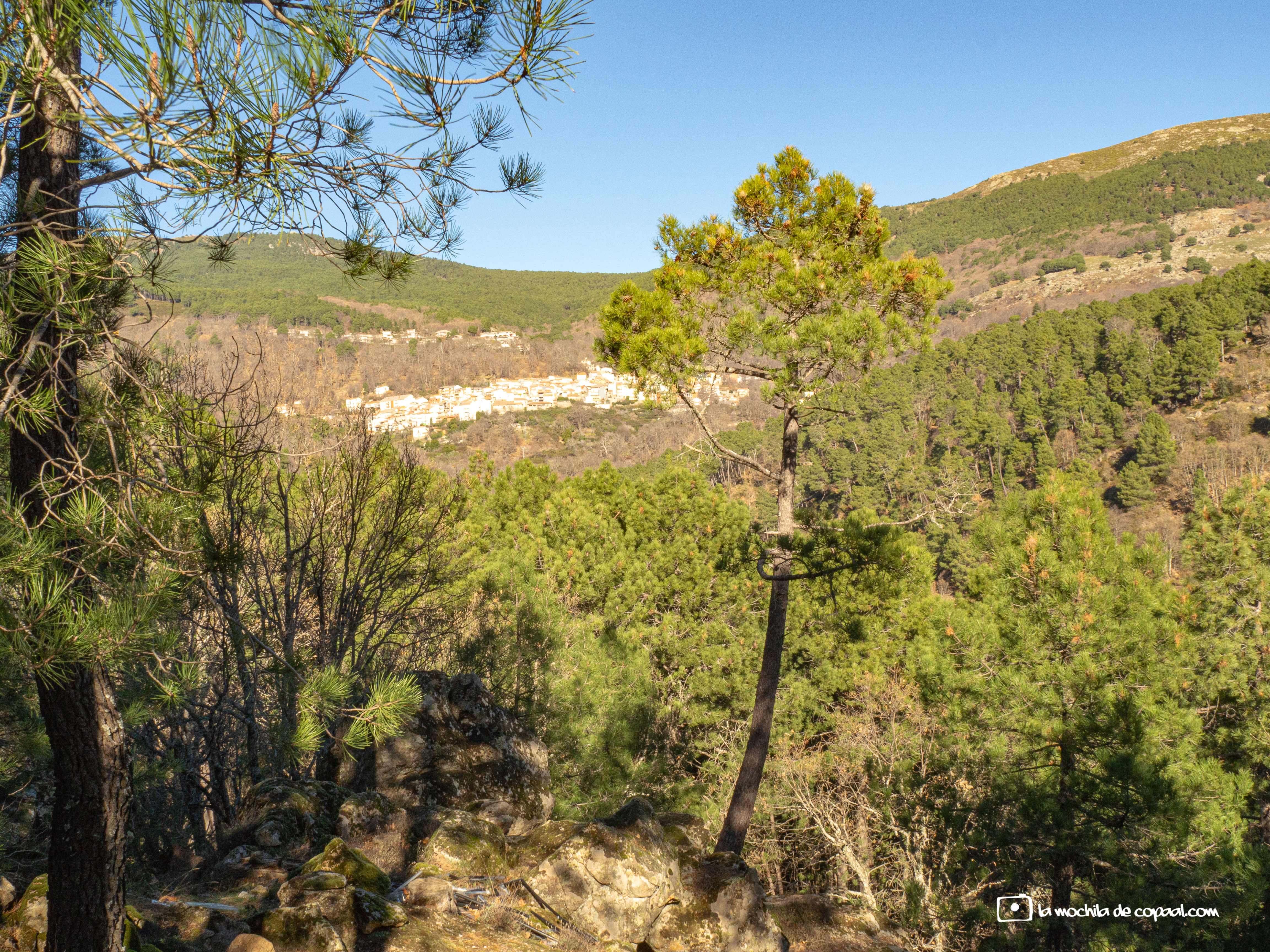 Castañar de Casillas (Ávila)