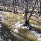 Descubre la ruta de los dos ríos: Naturaleza e historia en Sepúlveda