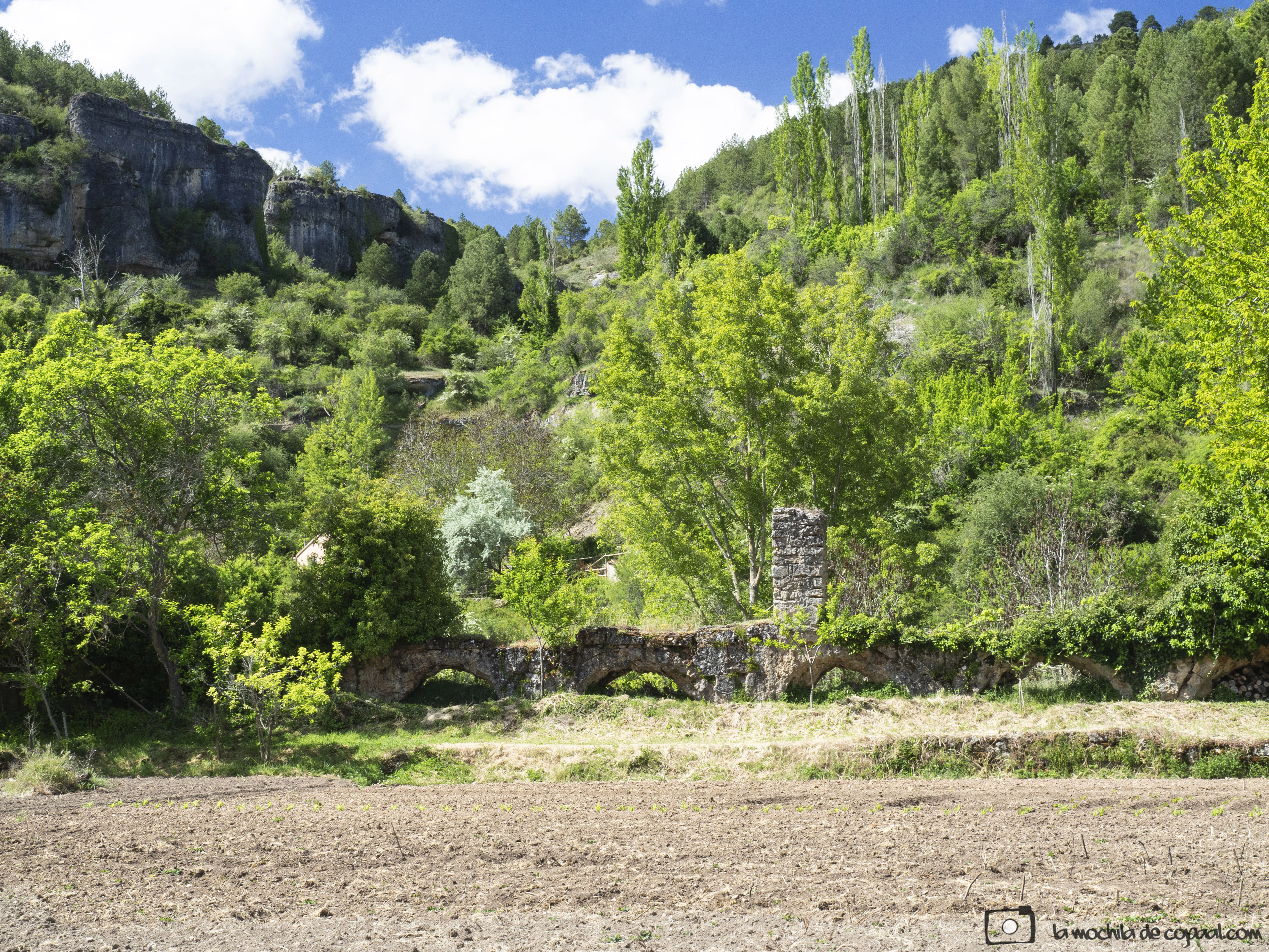 naturaleza, trekking