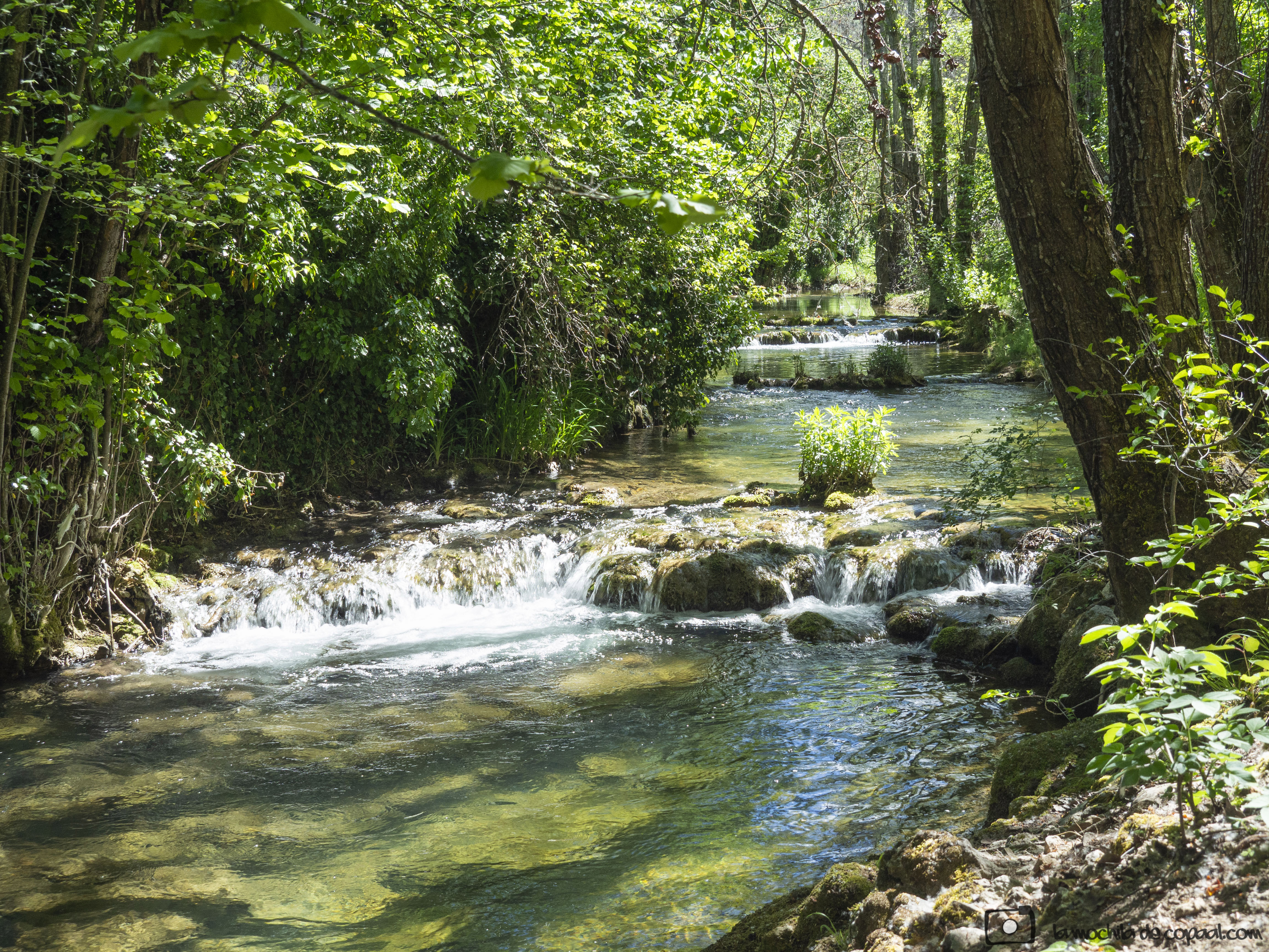 Senda botánica Huertas de Las Parras, senderismo