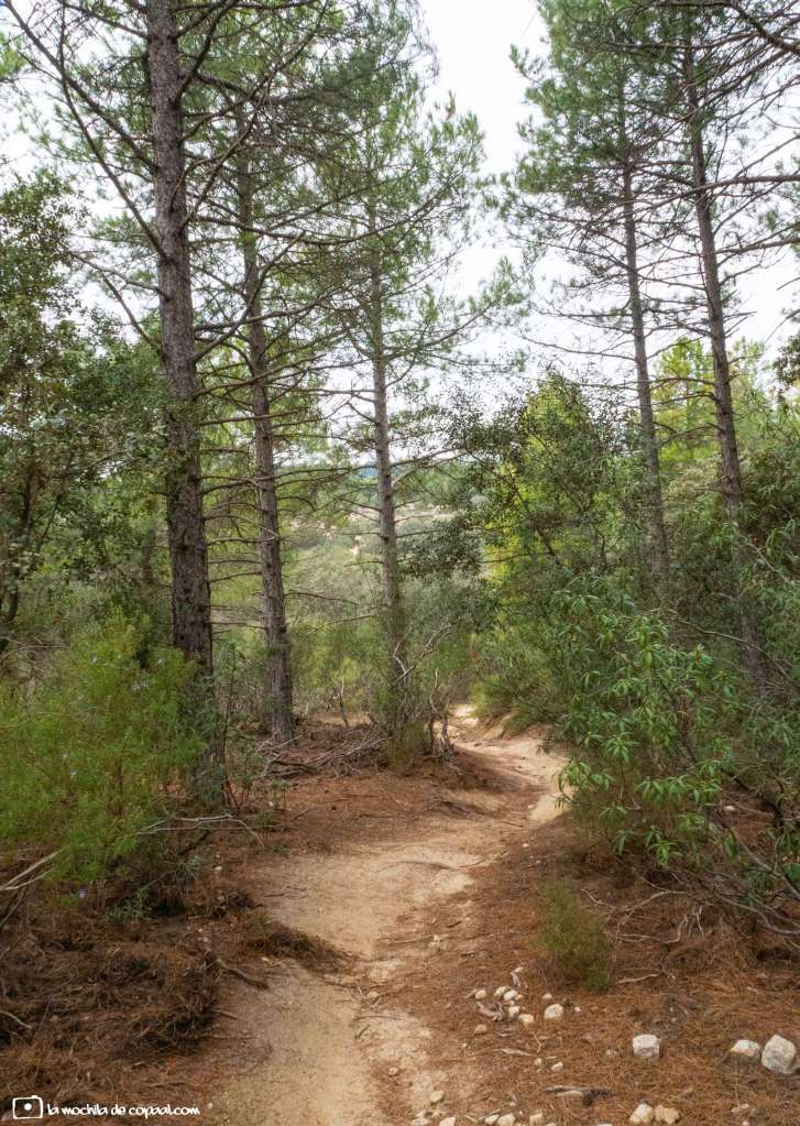 senda de los Elefantes