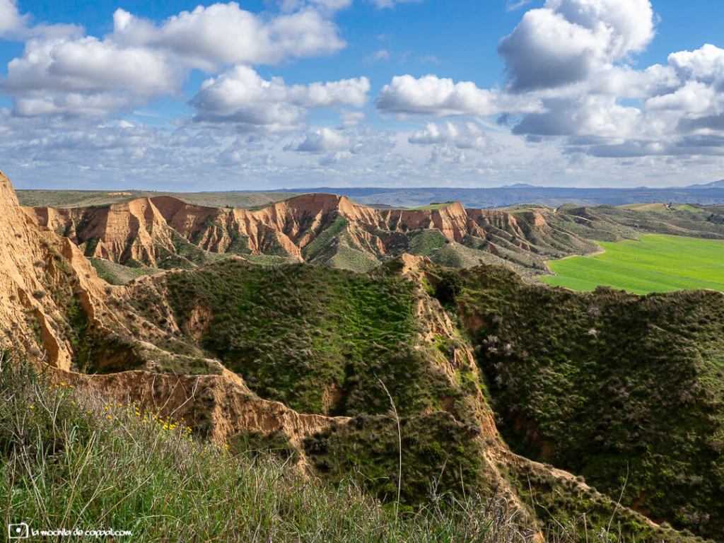 fotografía de naturaleza