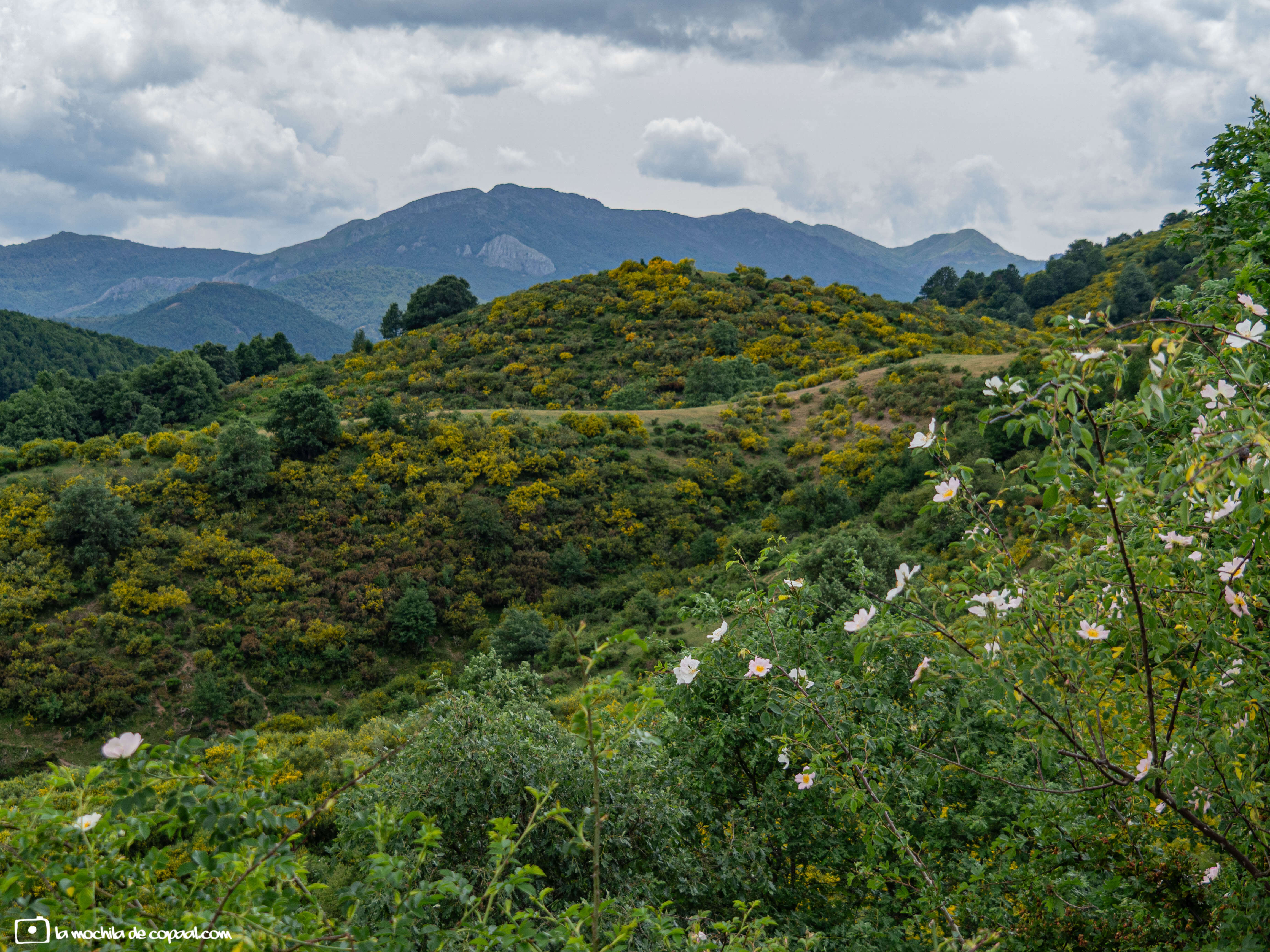 Parque Regional Montaña de Riaño y Mampodre
