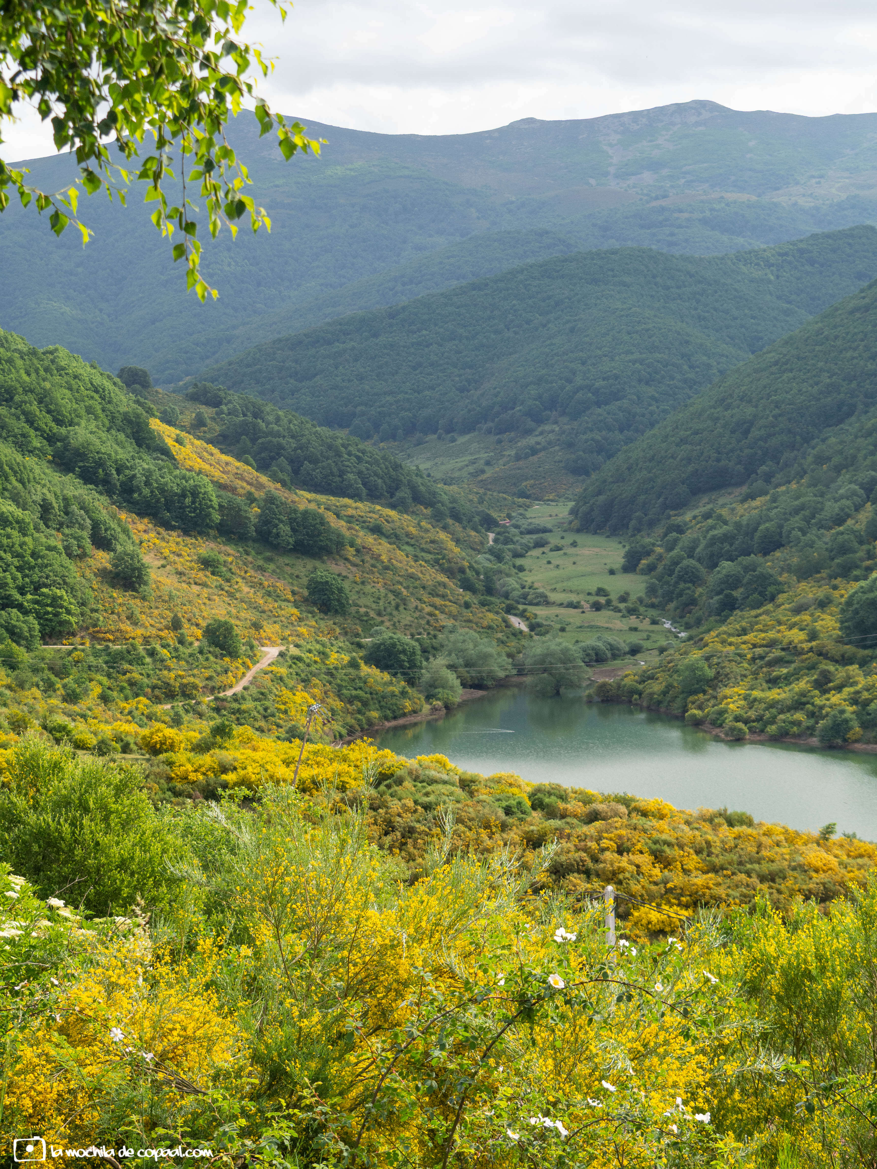 Bosque de Hormas (Riaño)