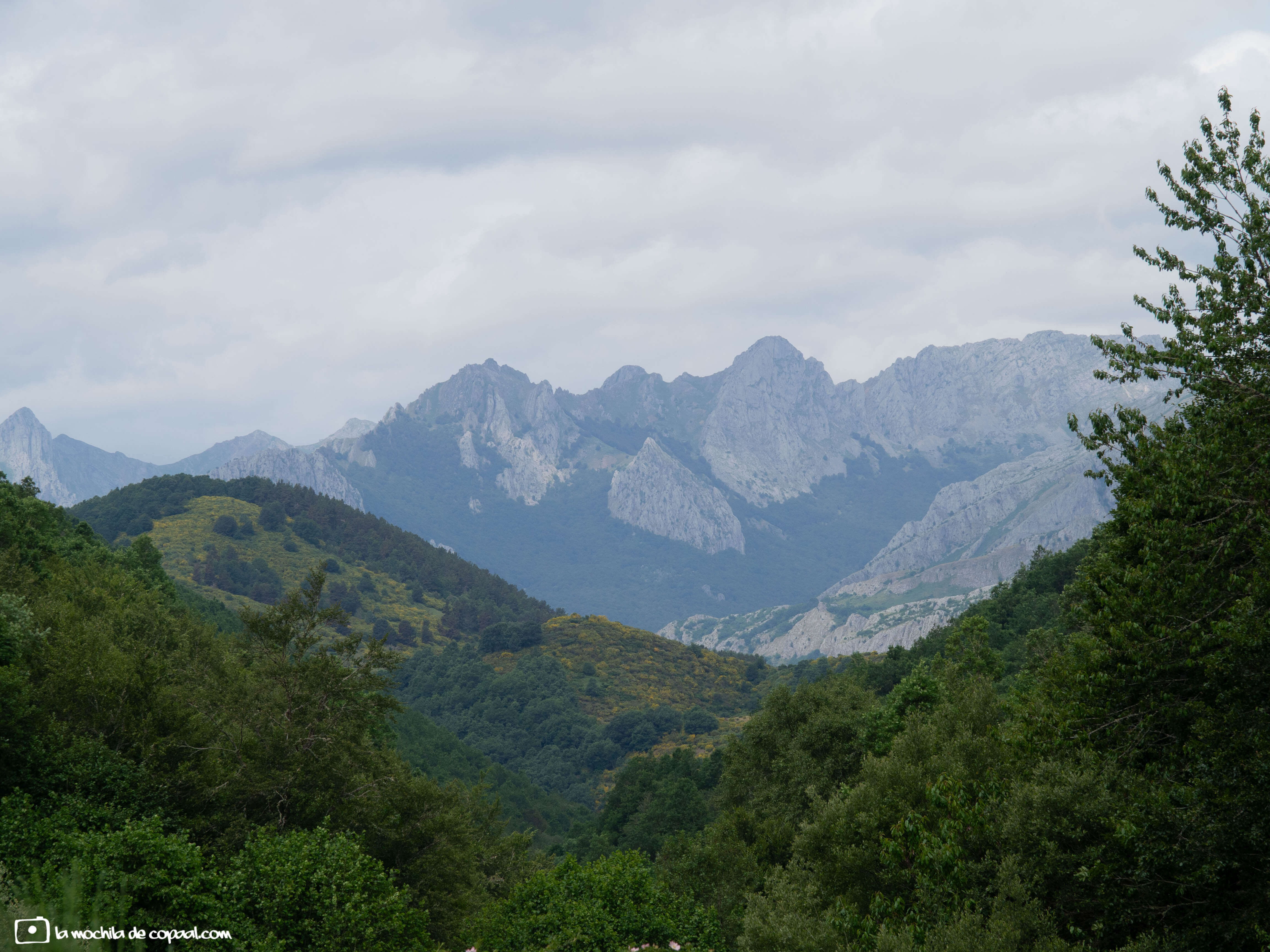 Montaña de Riaño (León)
