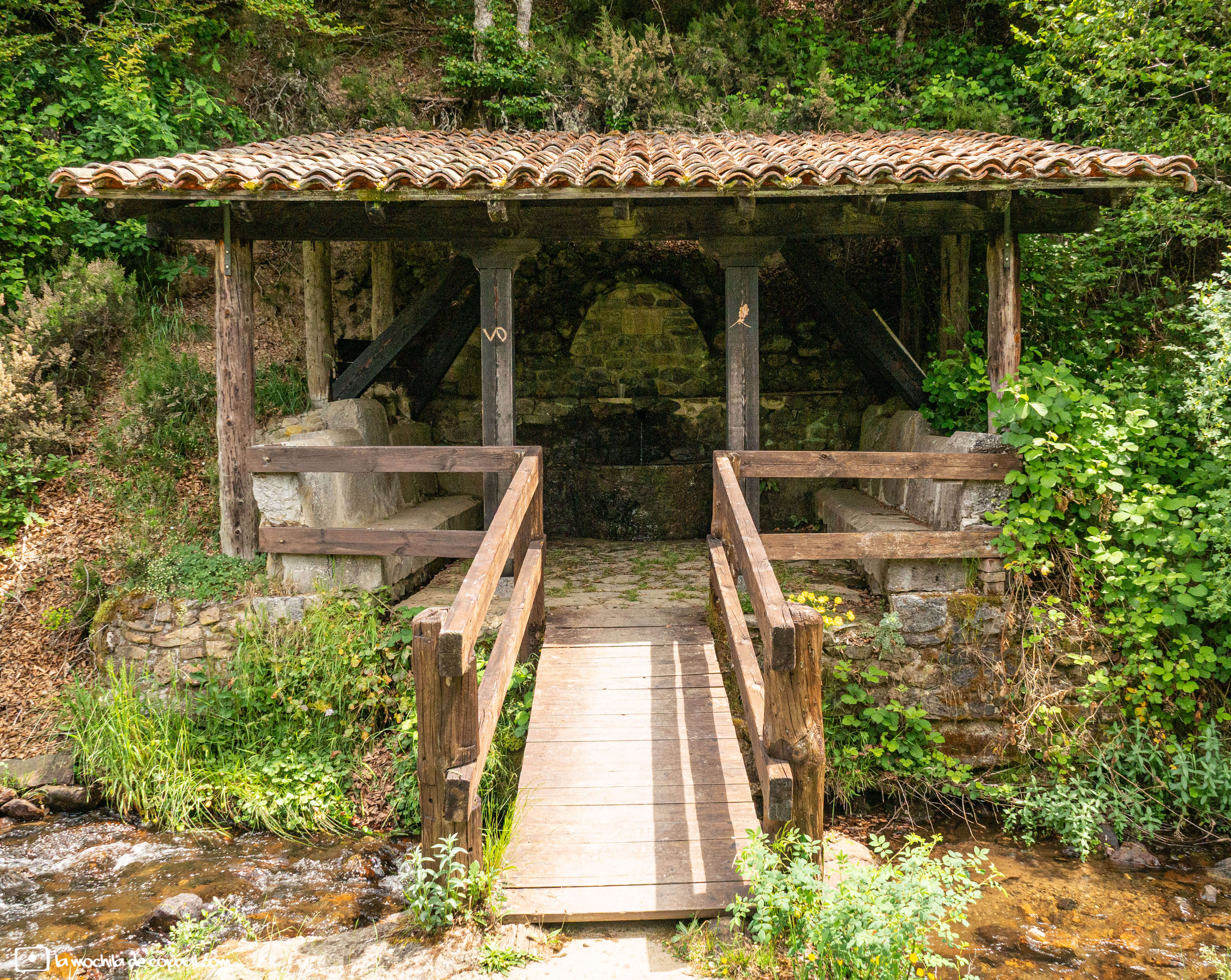 Fuente Los Casares (Riaño)